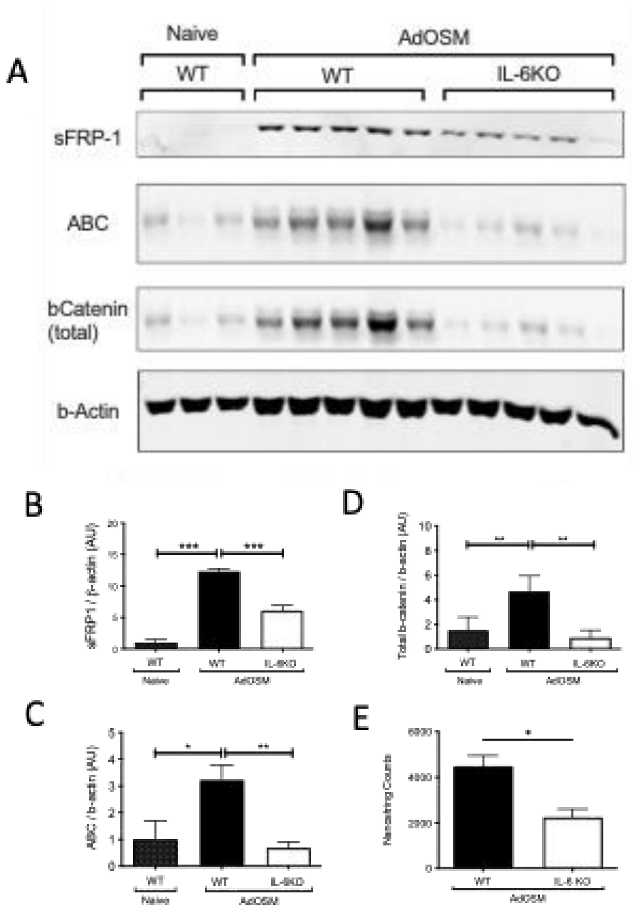 Preprints 233377 g004