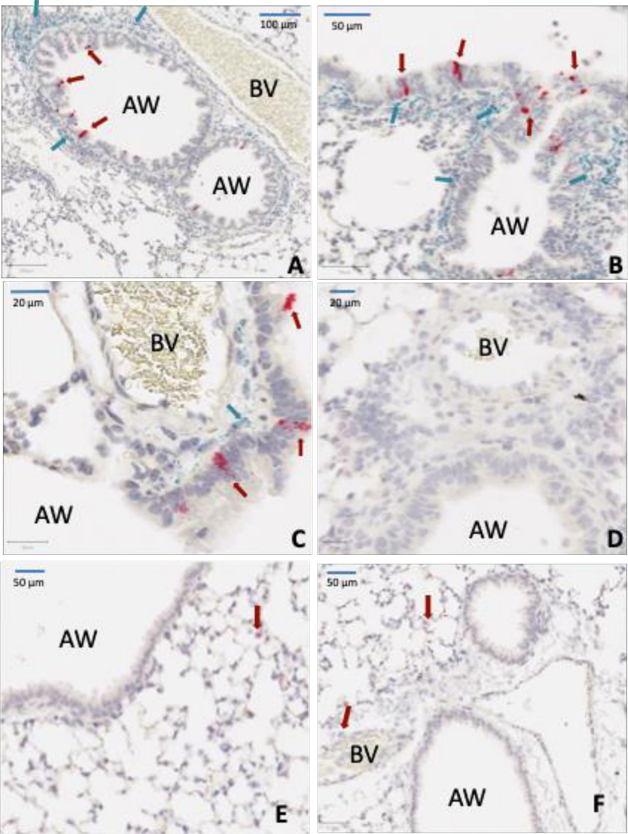 Preprints 233377 g005