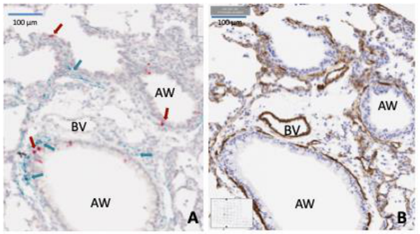 Preprints 233377 g006