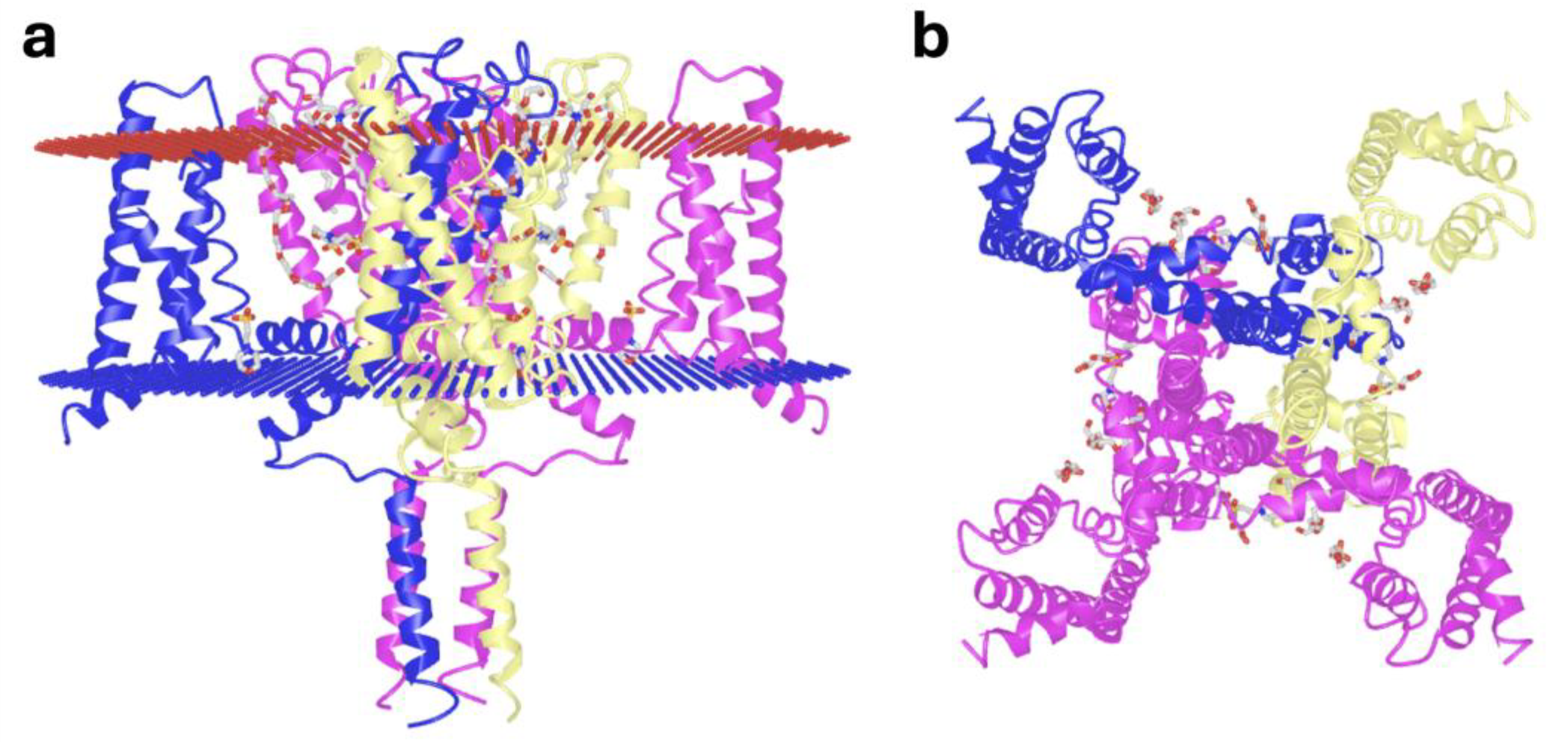 Preprints 173664 g001