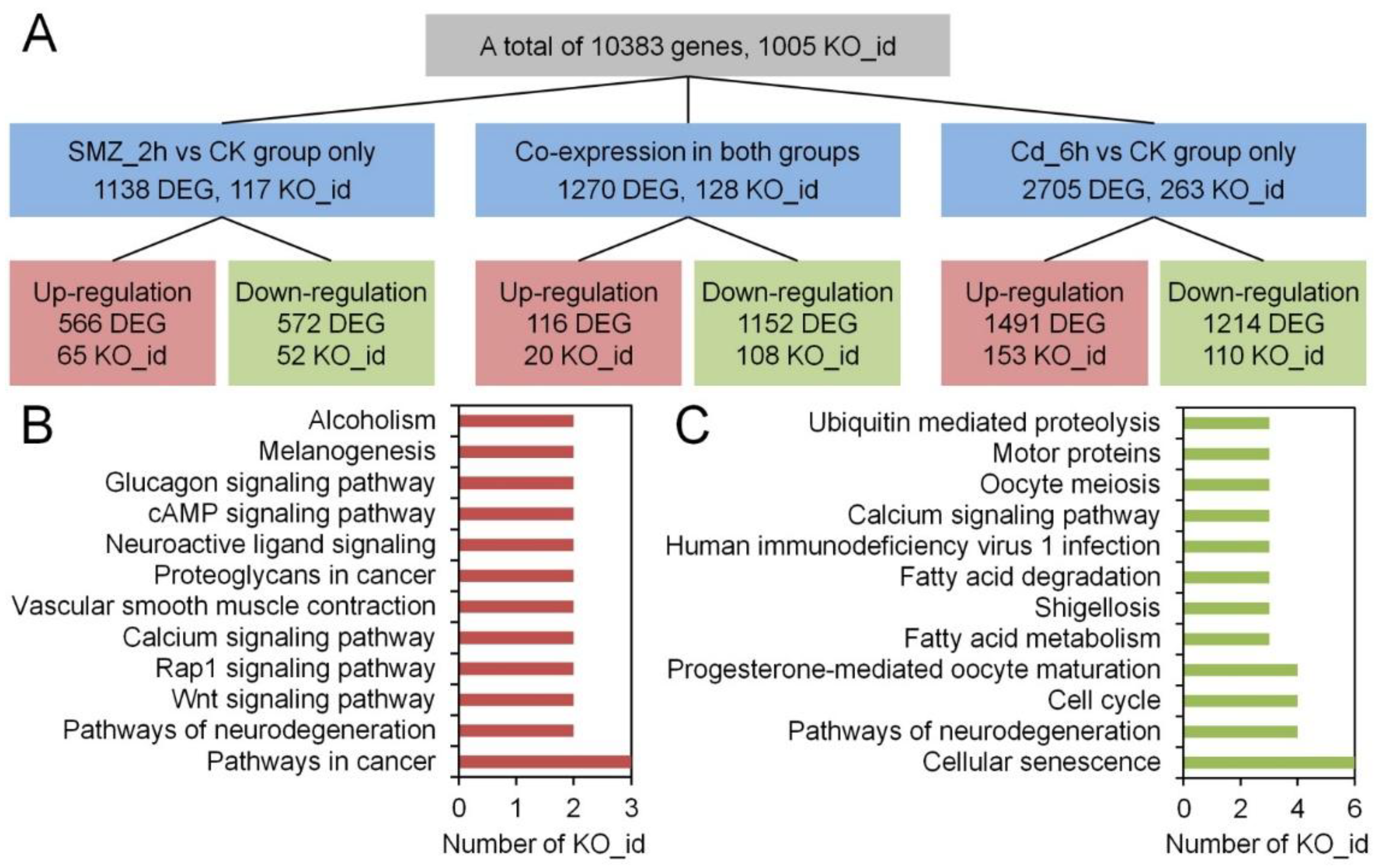 Preprints 188130 g006