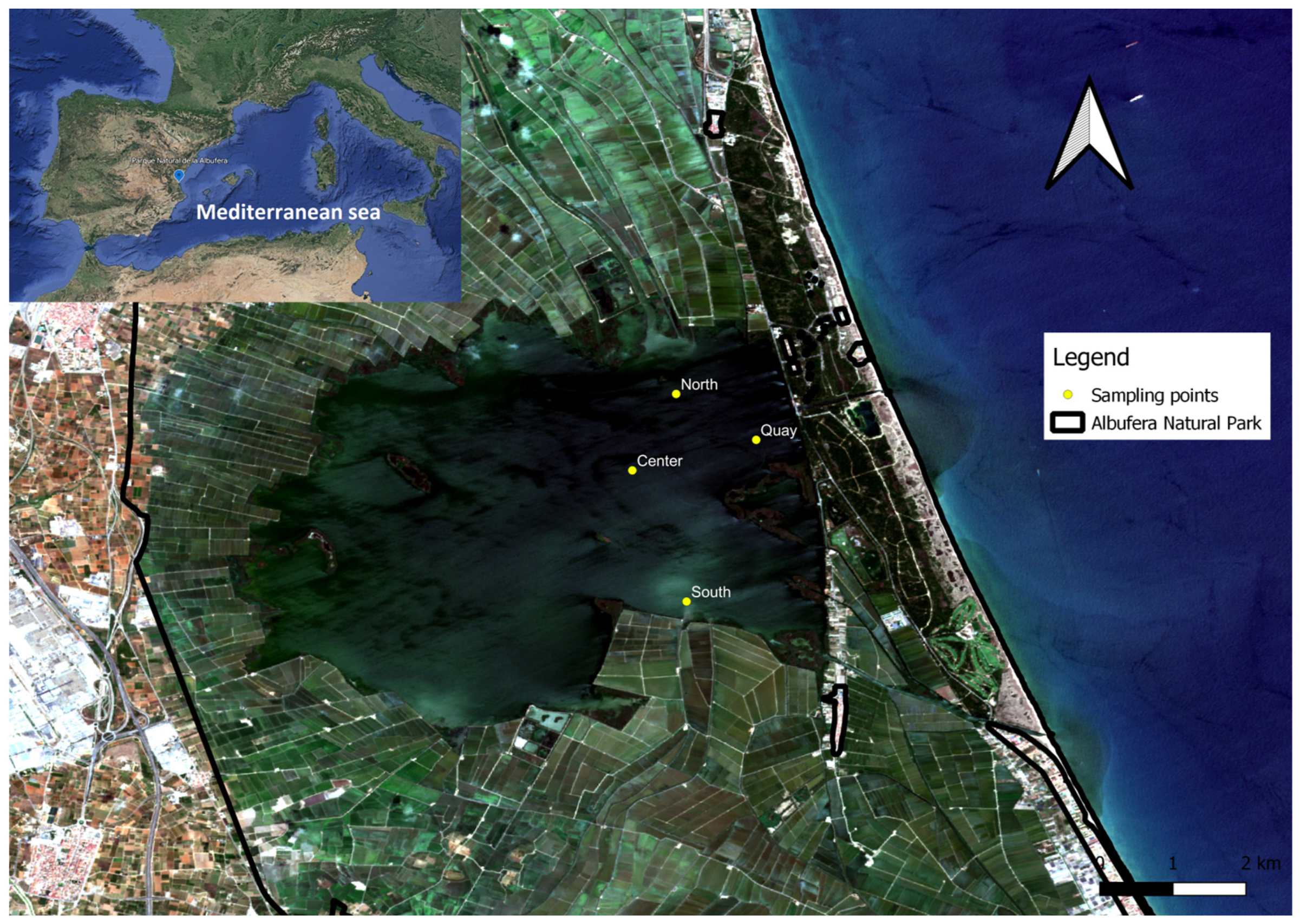 Preprints 84936 g001