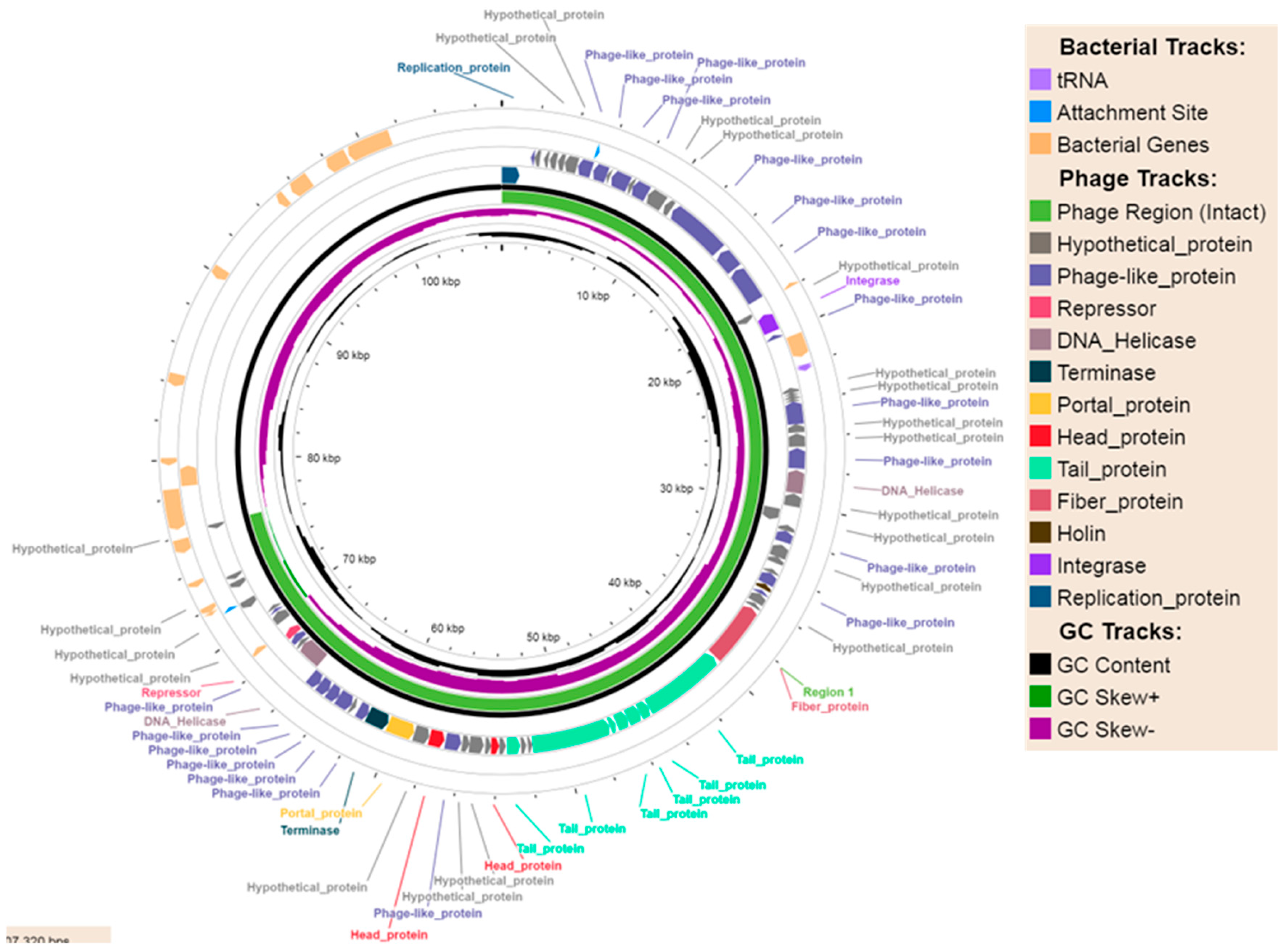 Preprints 170760 g002