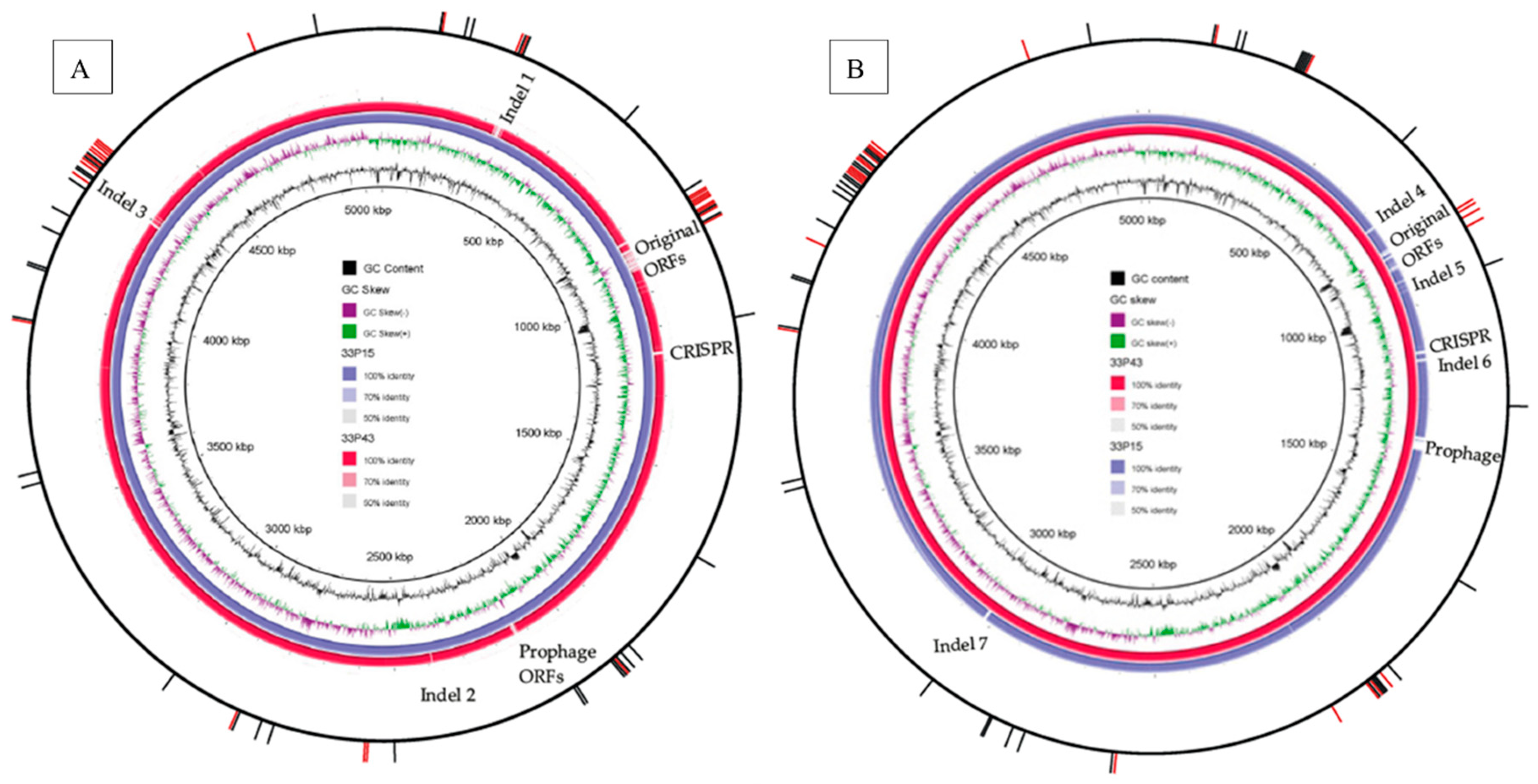 Preprints 170760 g004