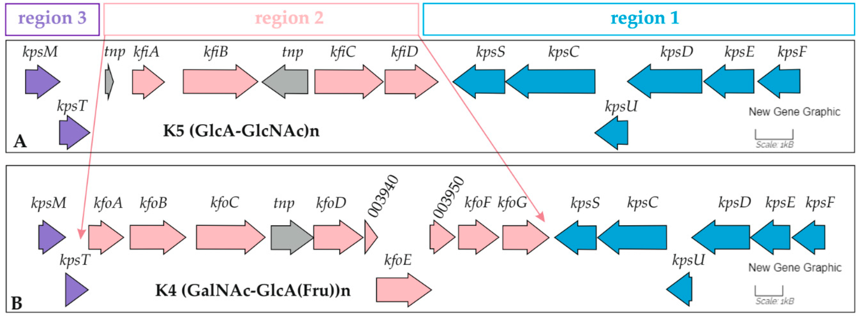 Preprints 170760 g005