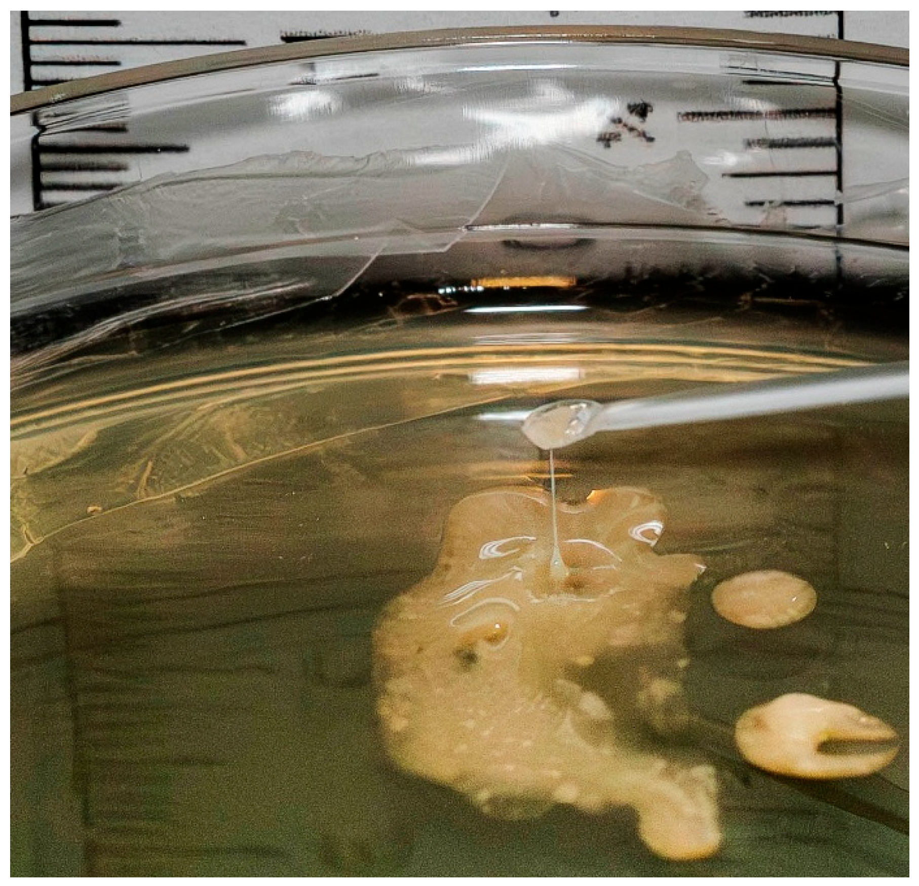 Preprints 170760 g006