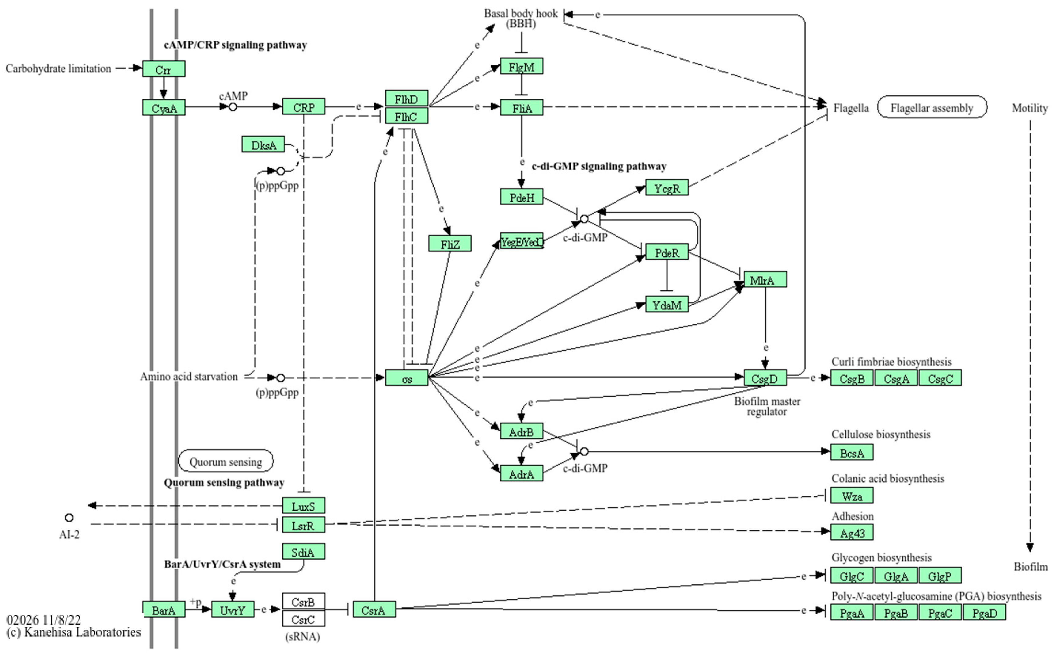Preprints 170760 g007