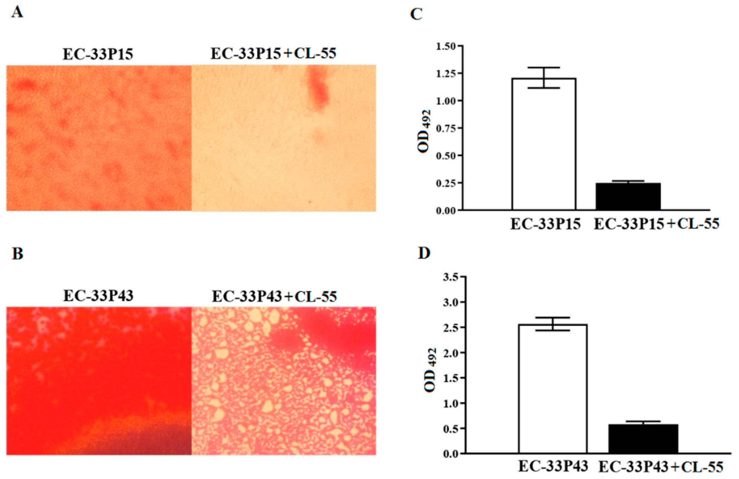 Preprints 170760 g008