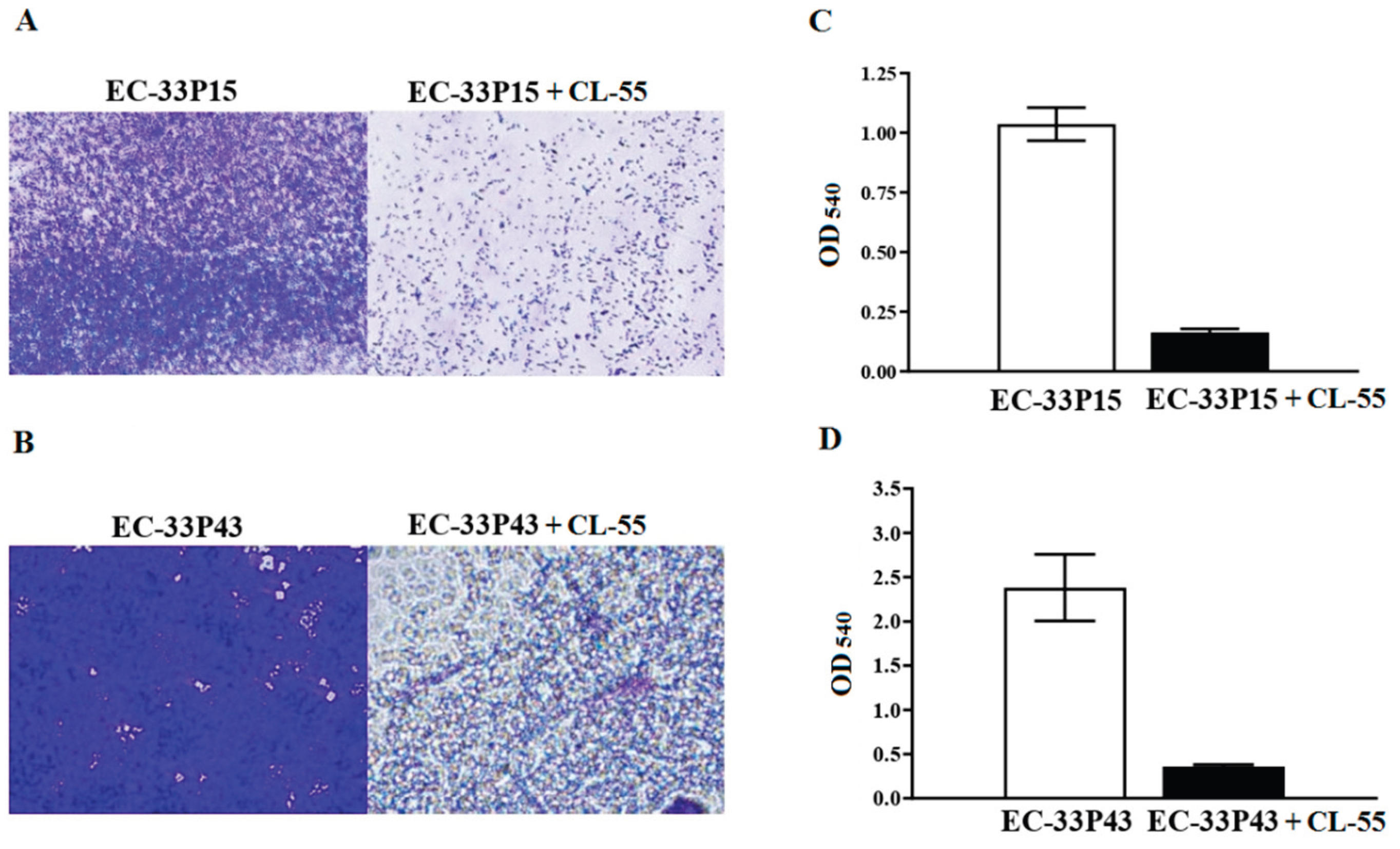 Preprints 170760 g009