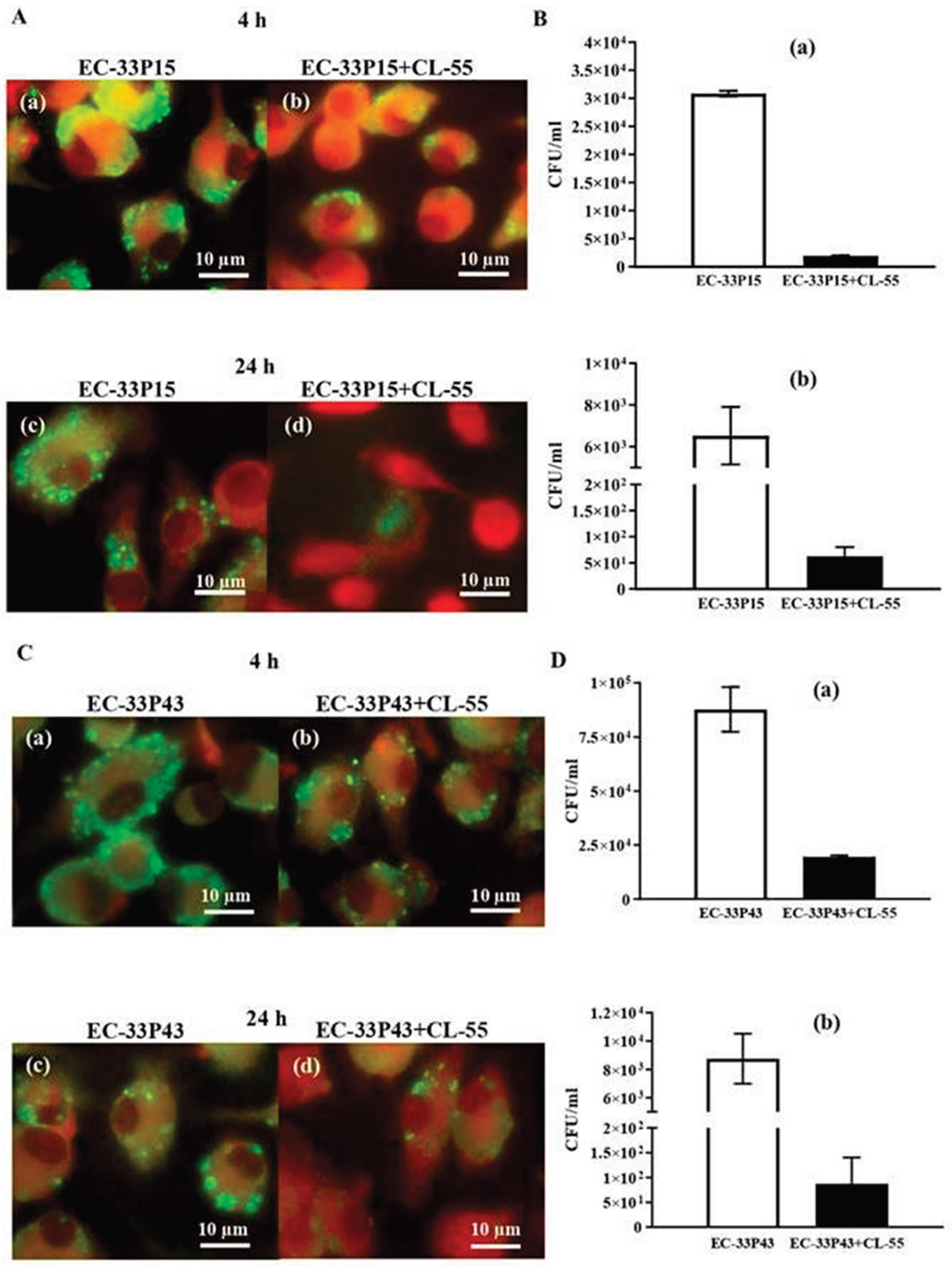 Preprints 170760 g010