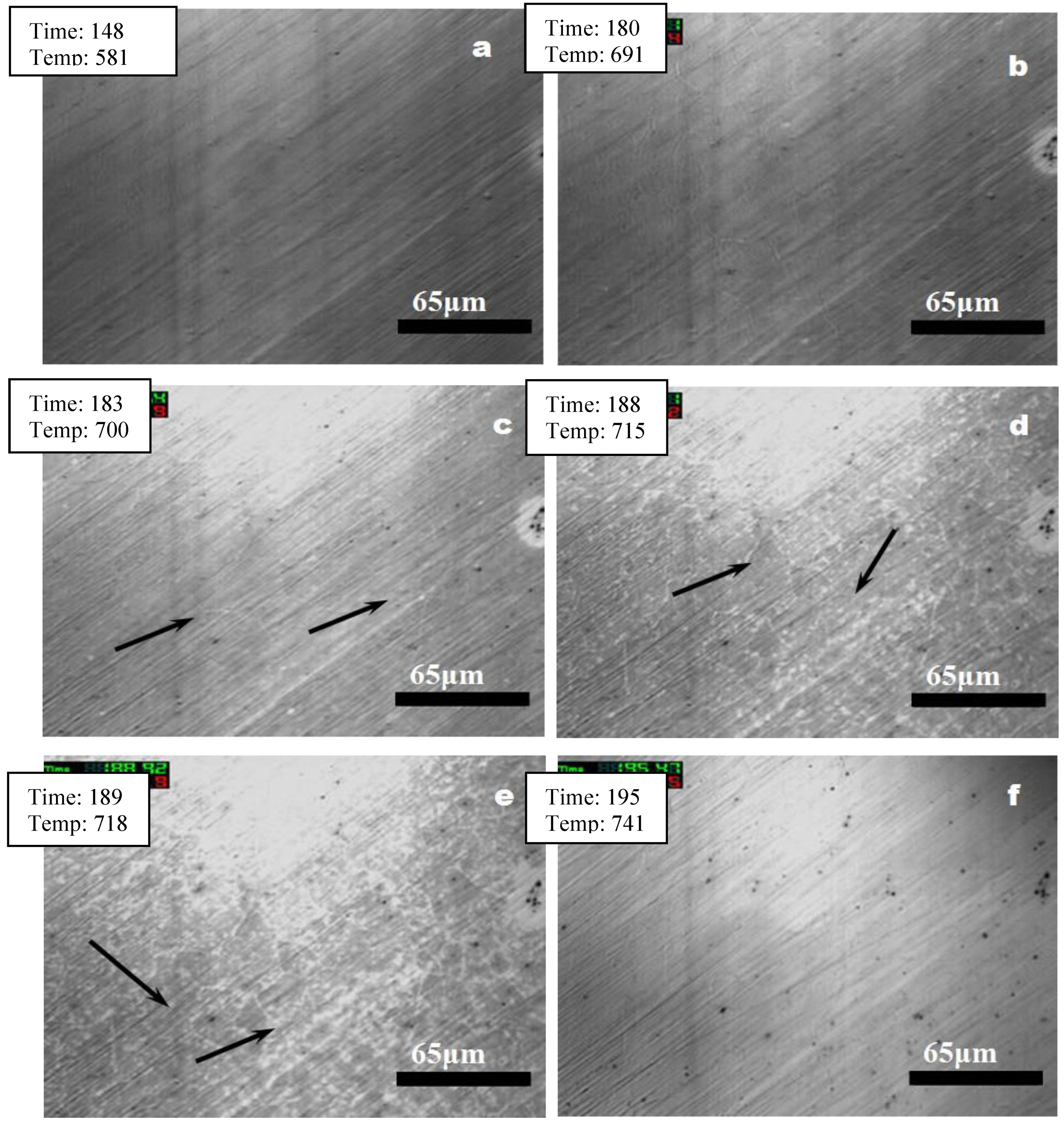 Preprints 113971 g004