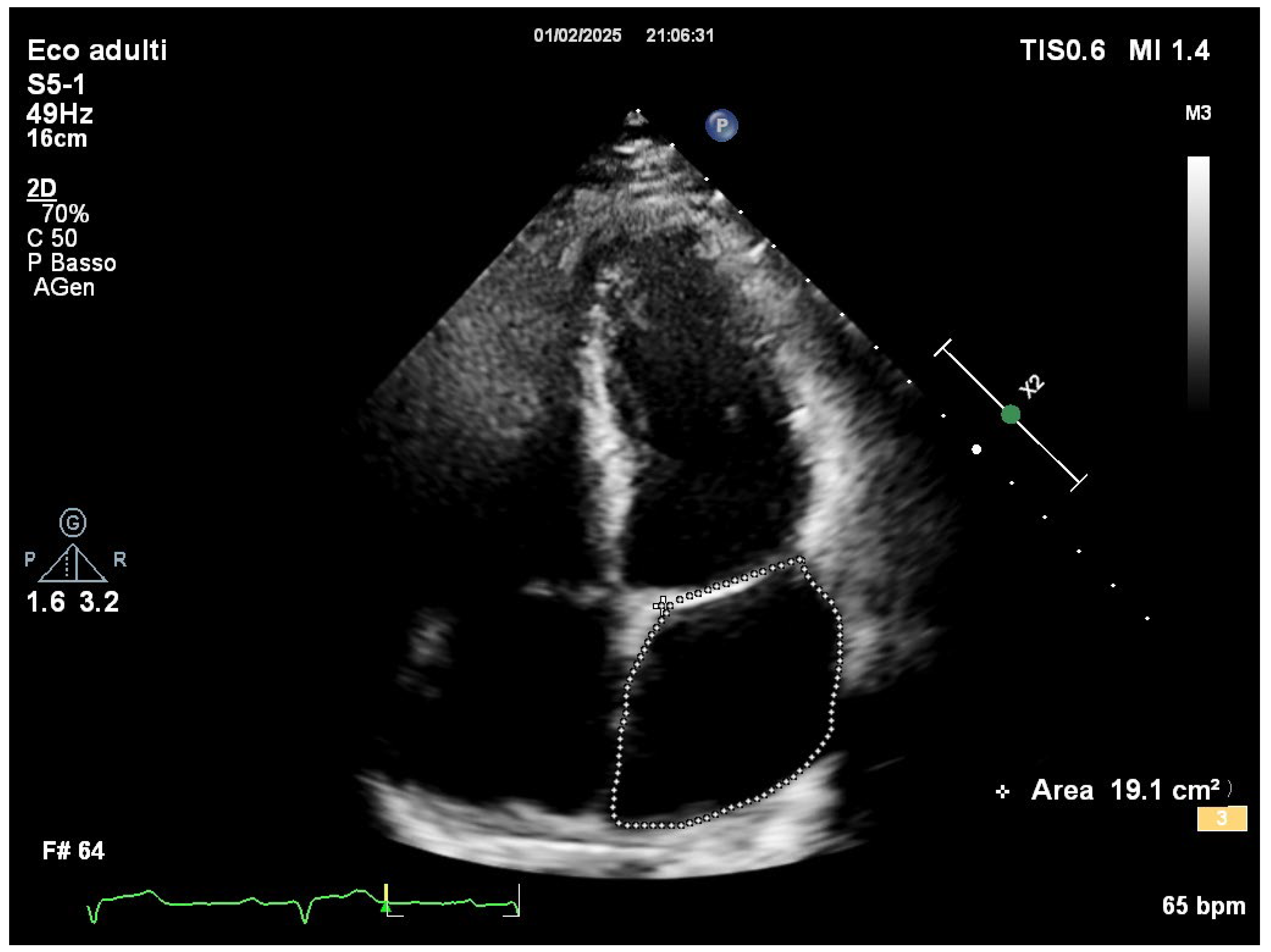 Preprints 154513 g002