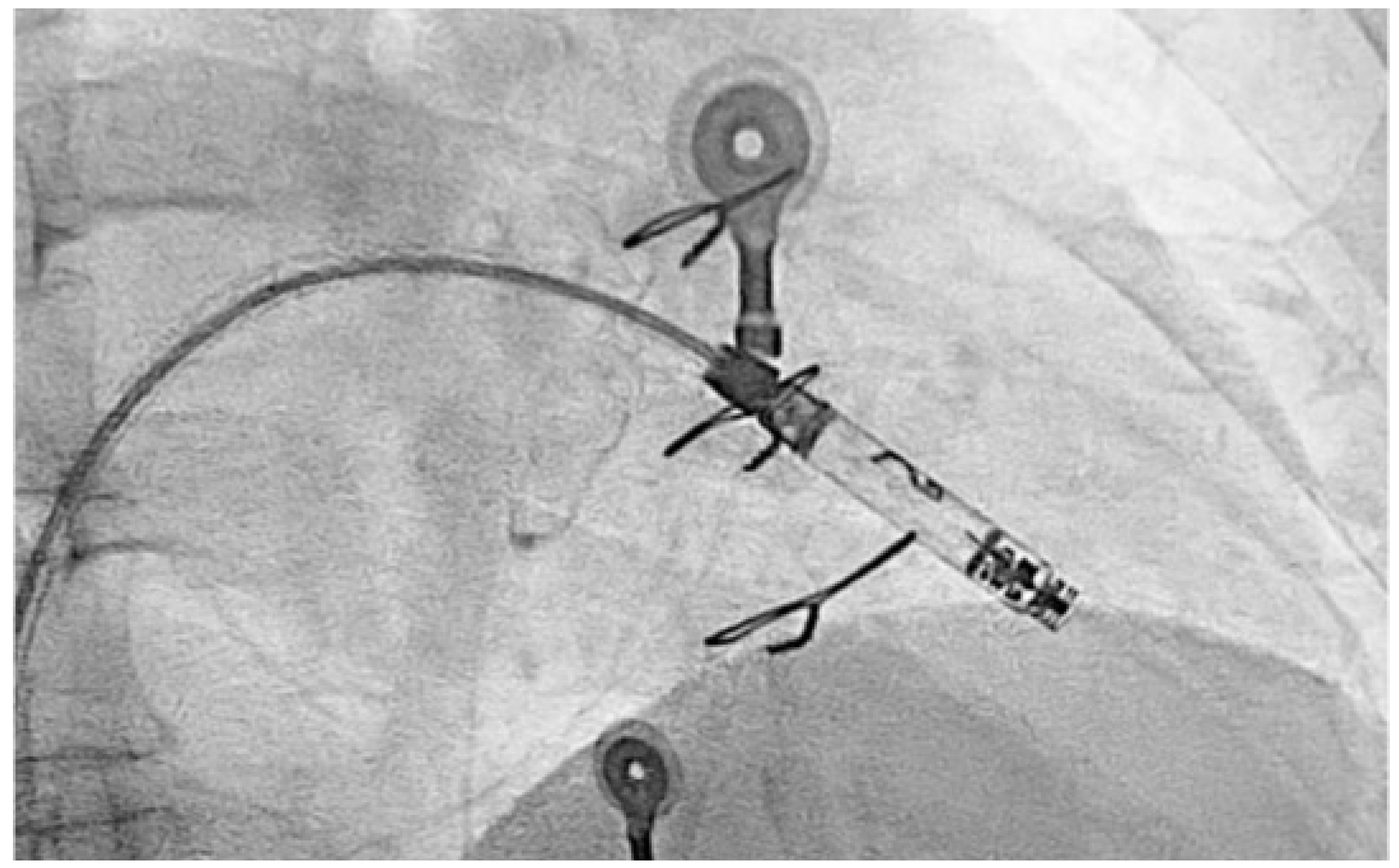 Preprints 154513 g005