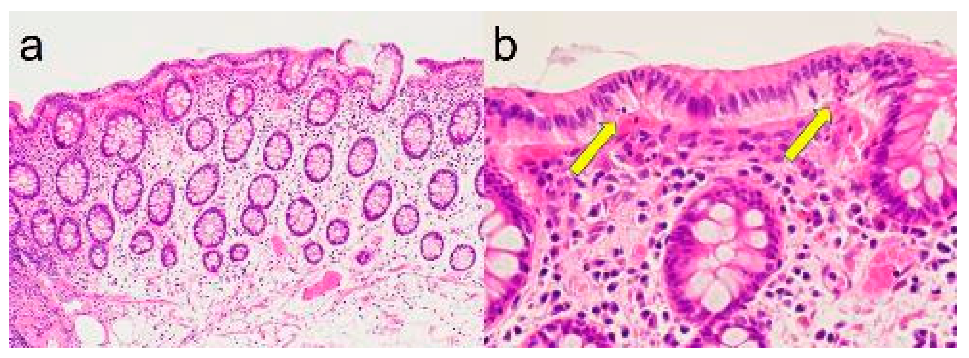 Preprints 100171 g002