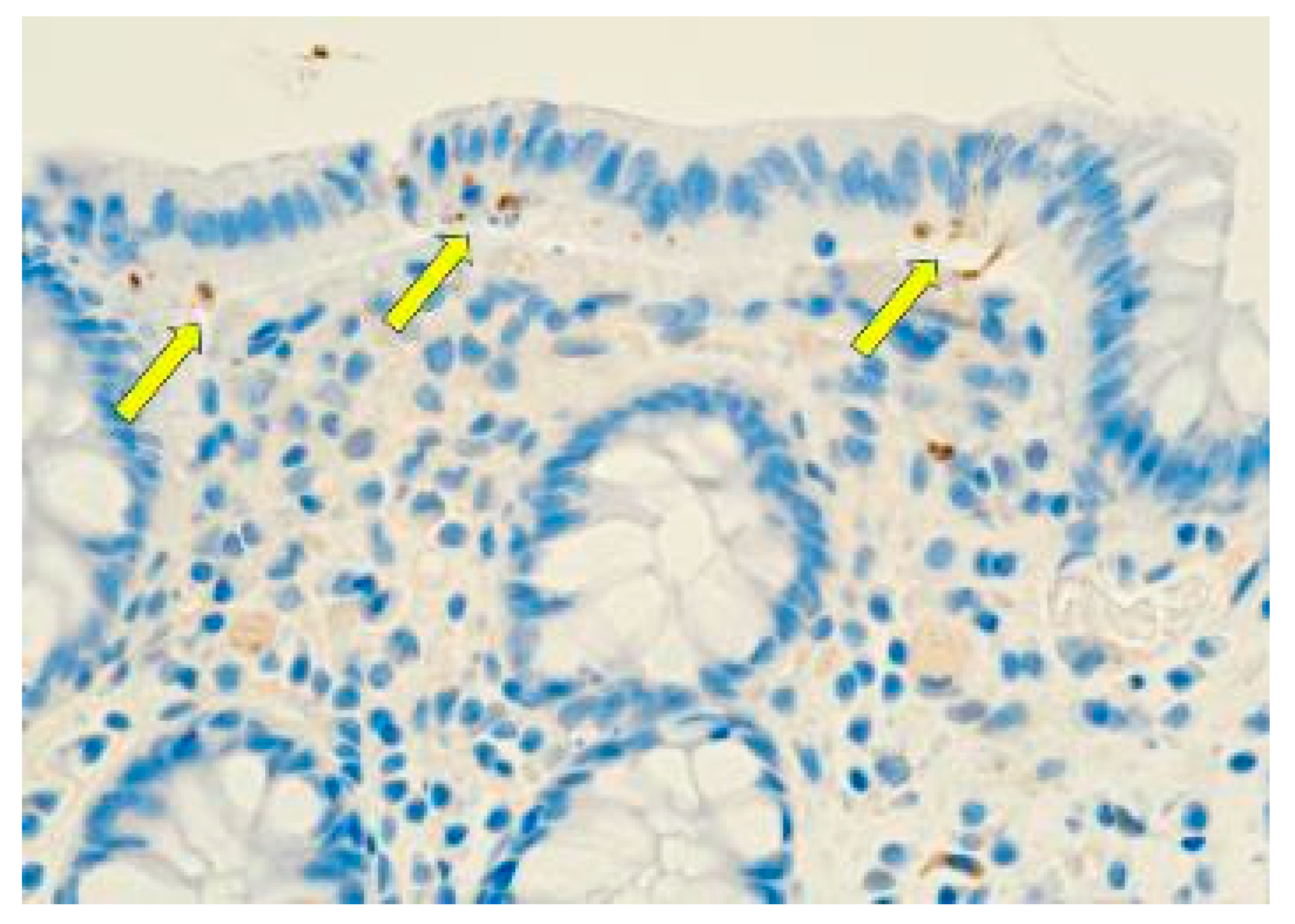 Preprints 100171 g003