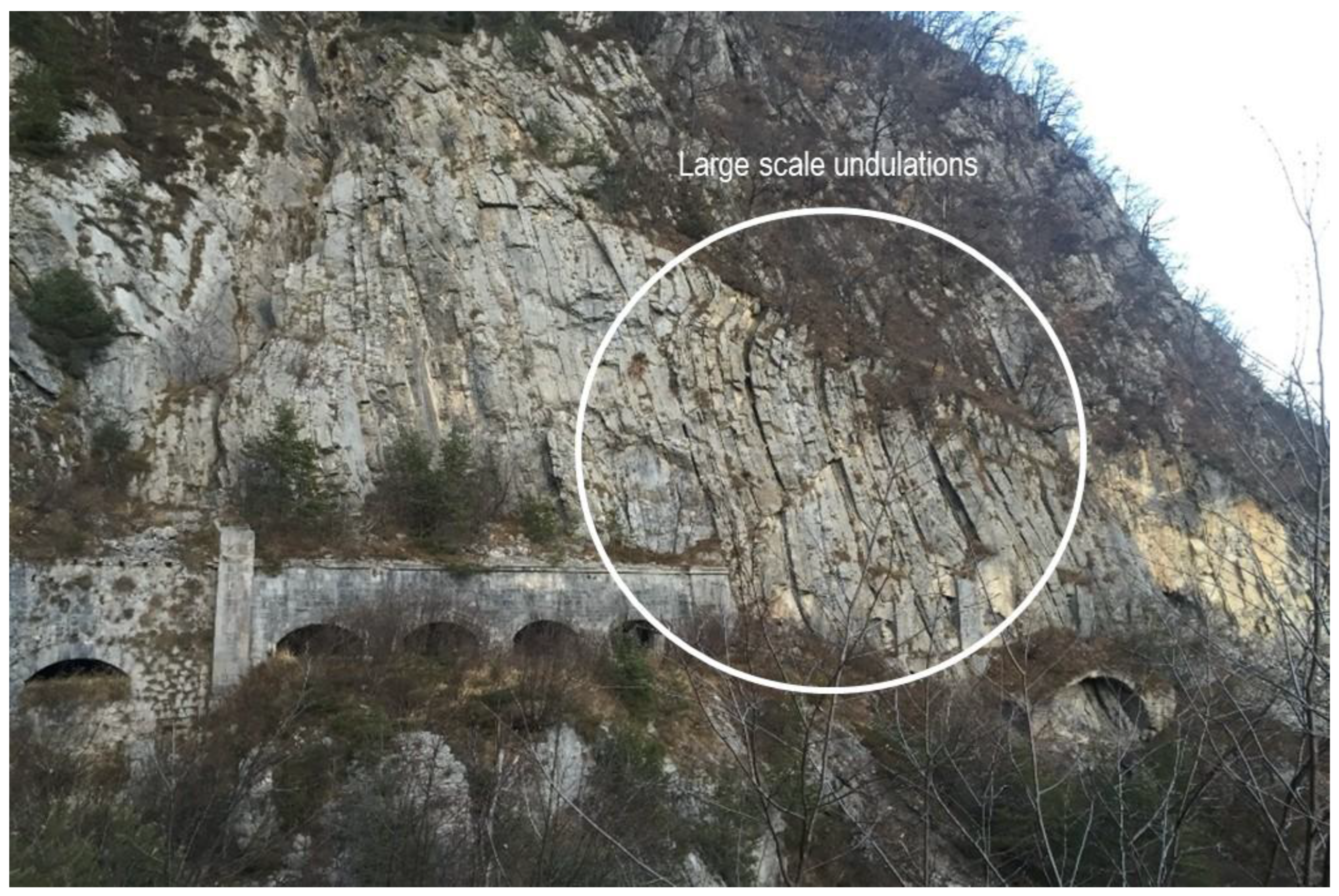 Preprints 165339 g003