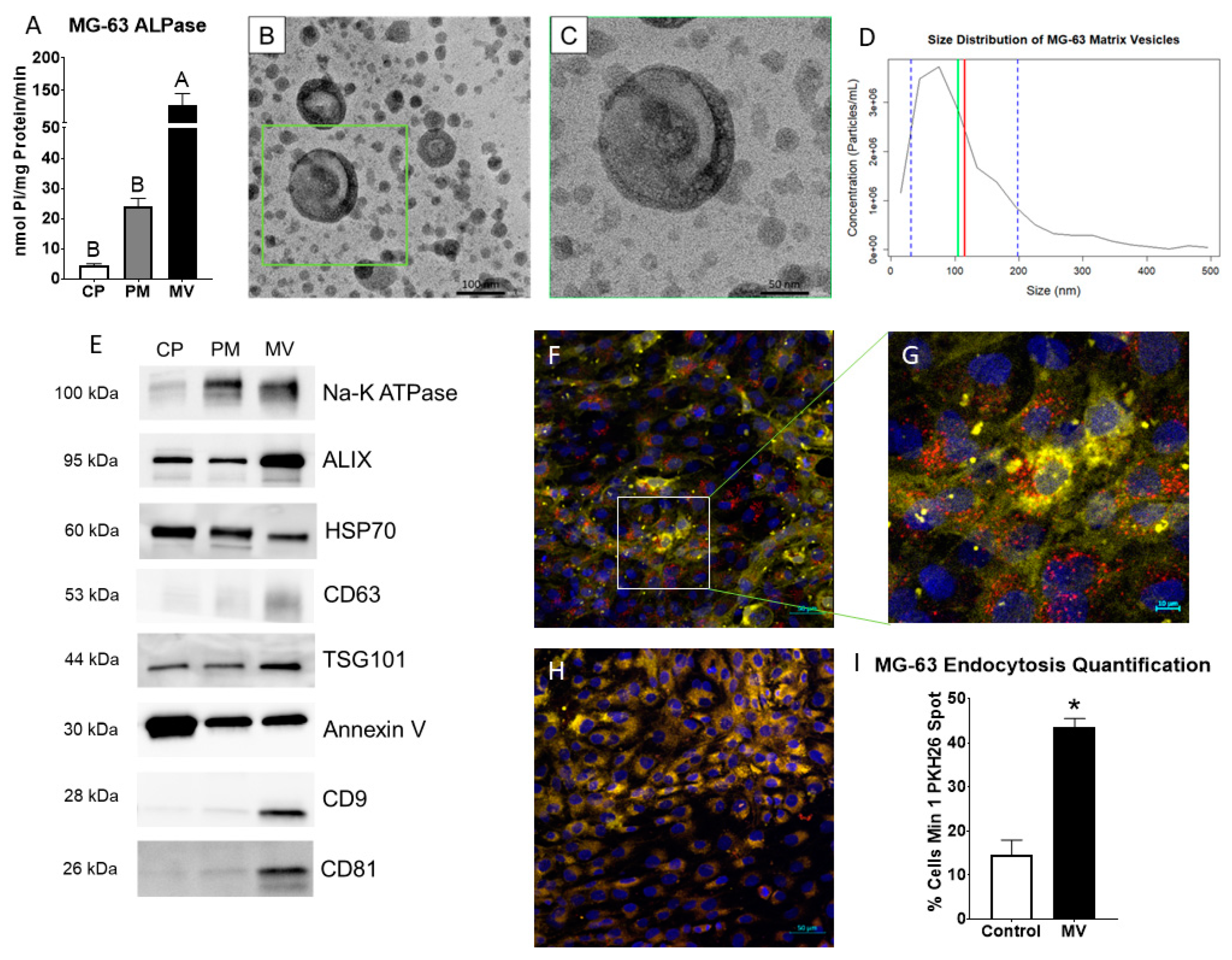 Preprints 77177 g001