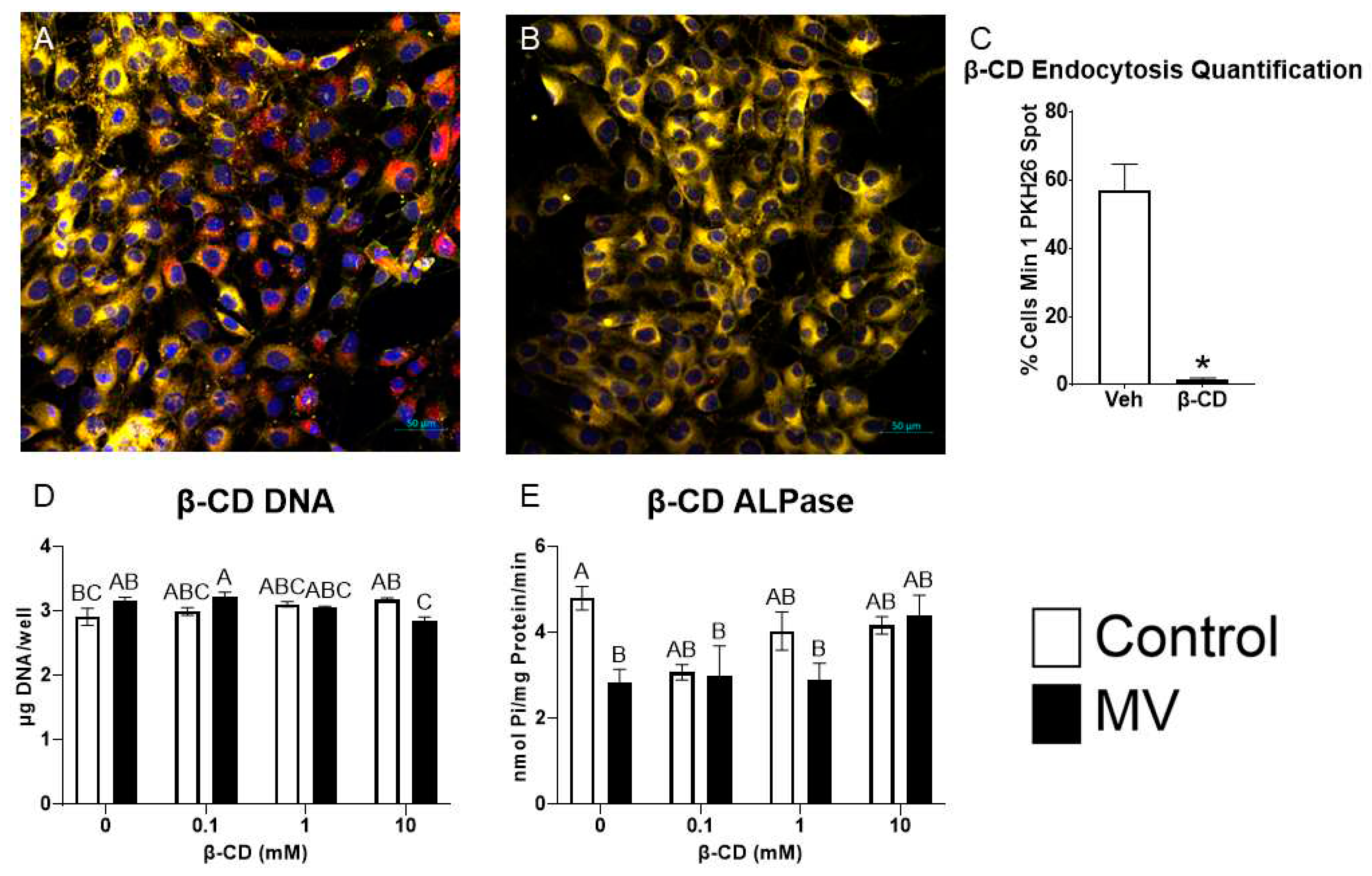 Preprints 77177 g006