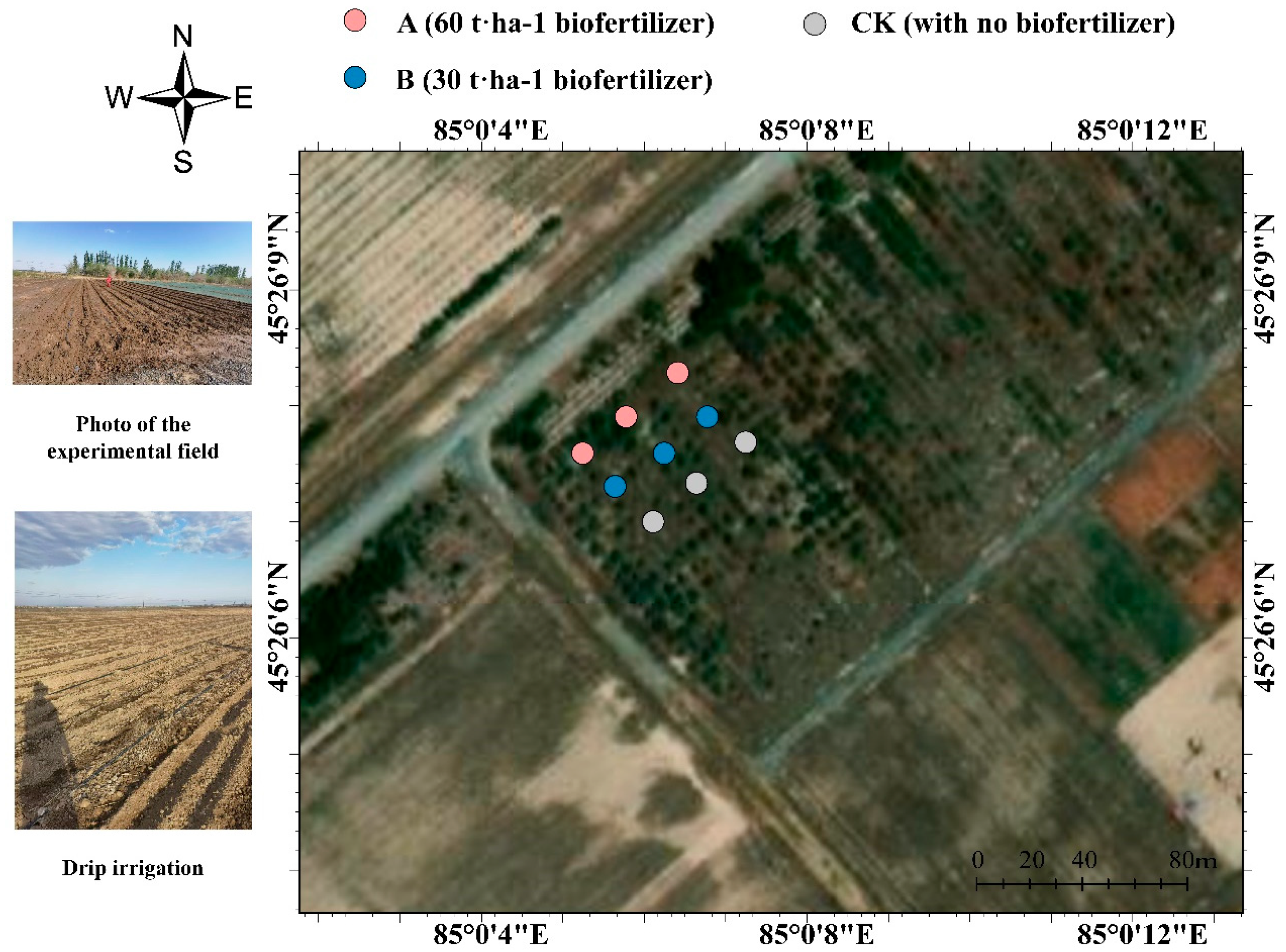 Preprints 156993 g001