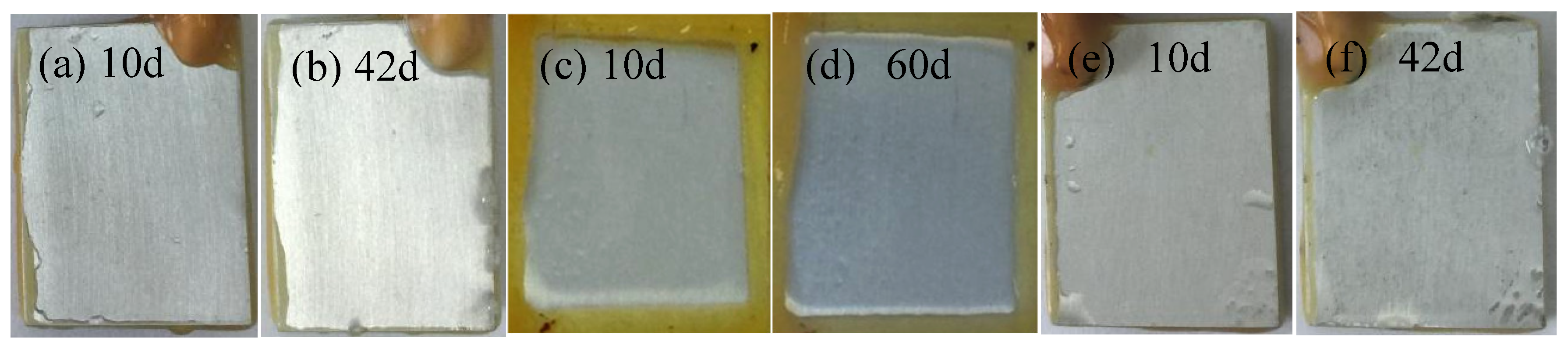 Preprints 165724 g004