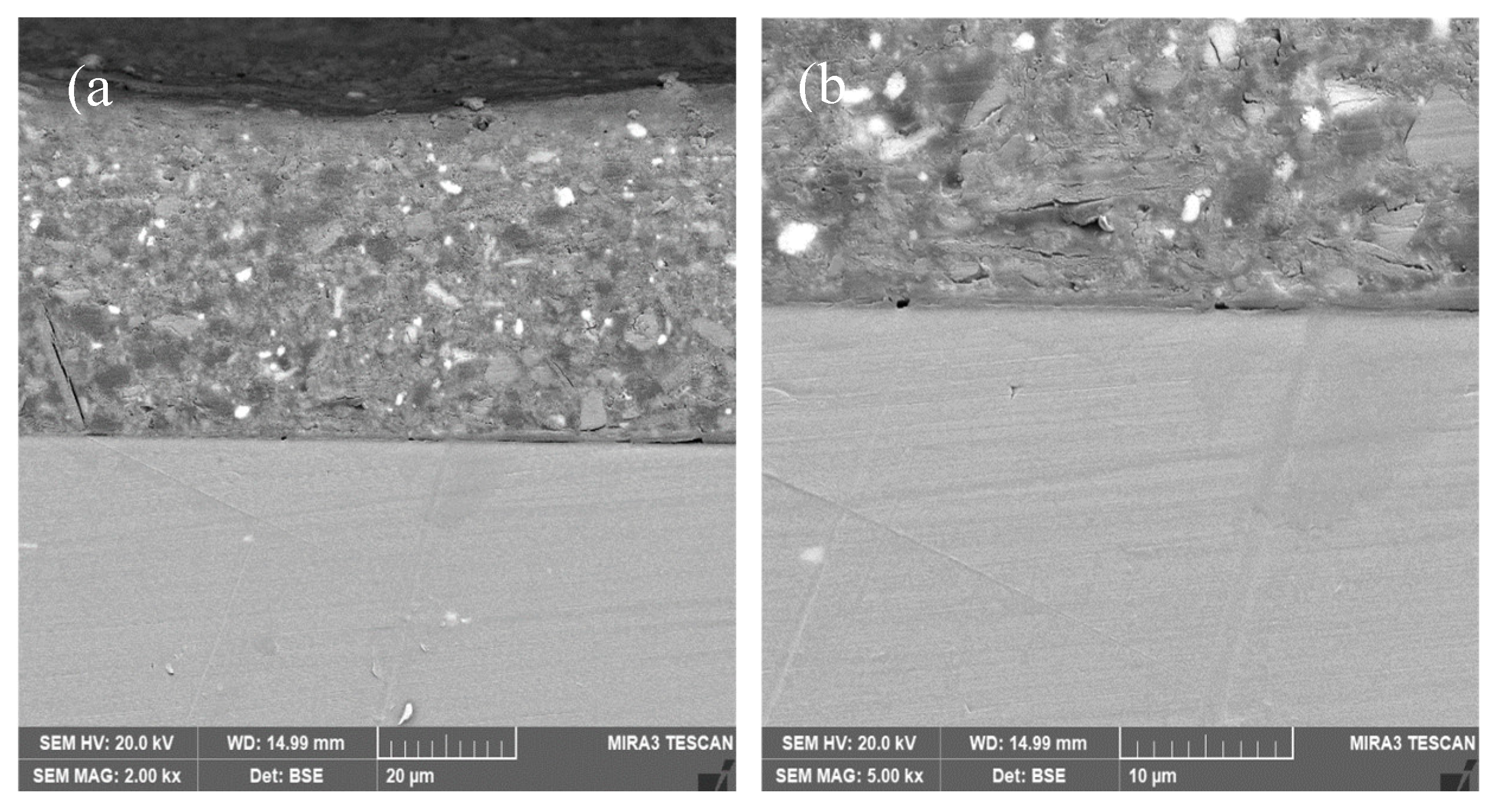 Preprints 165724 g012