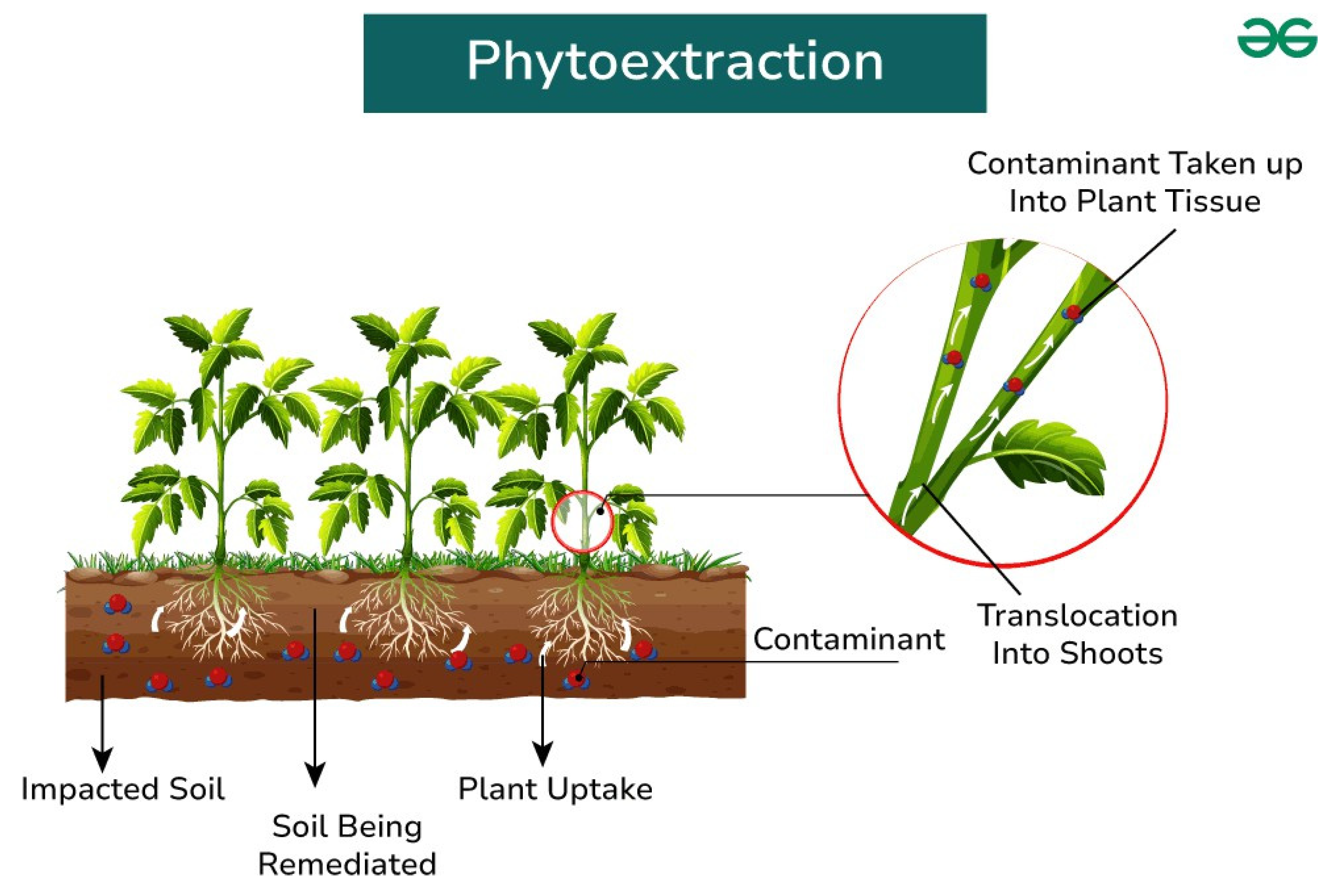 Preprints 164814 g002