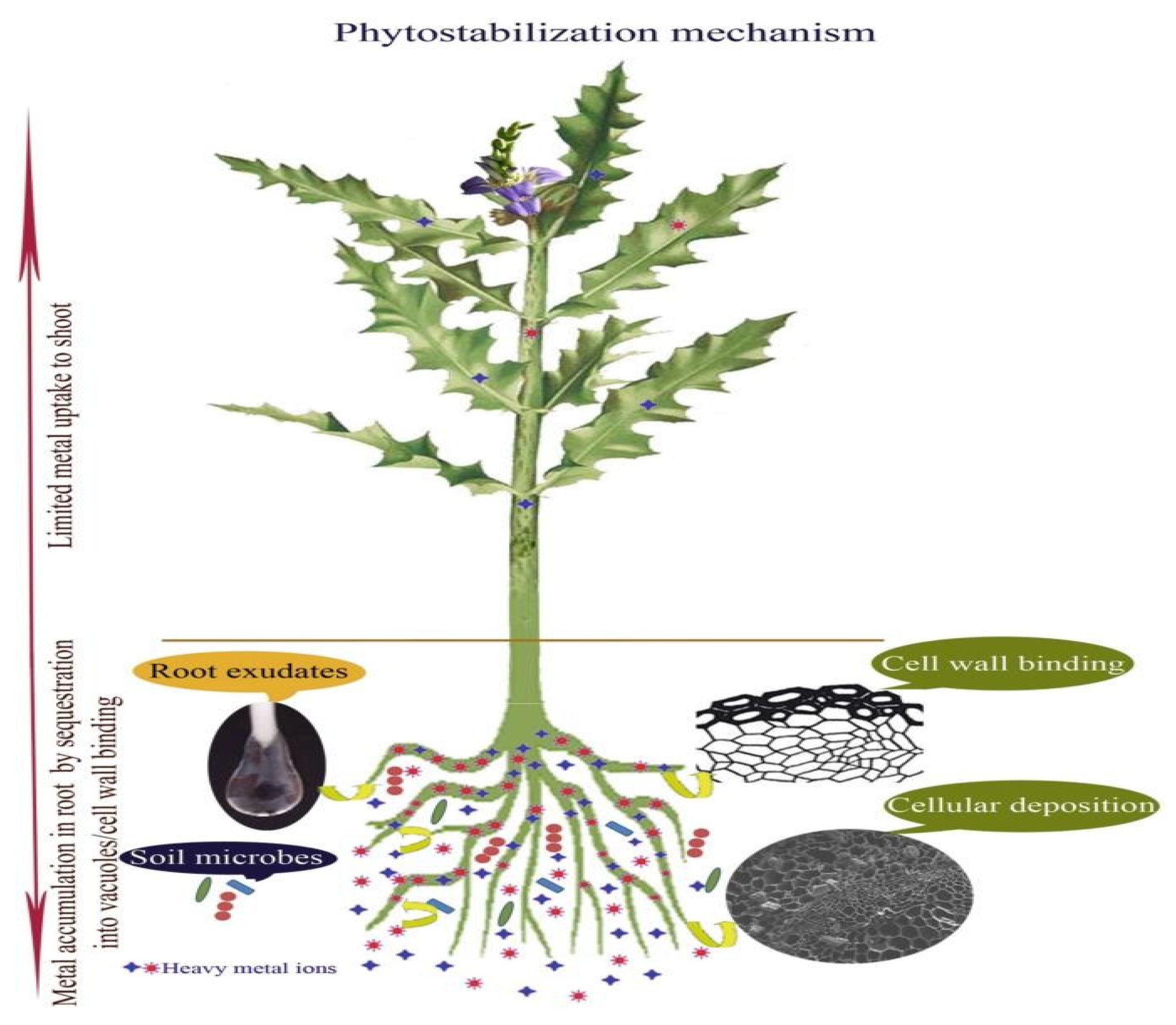 Preprints 164814 g003