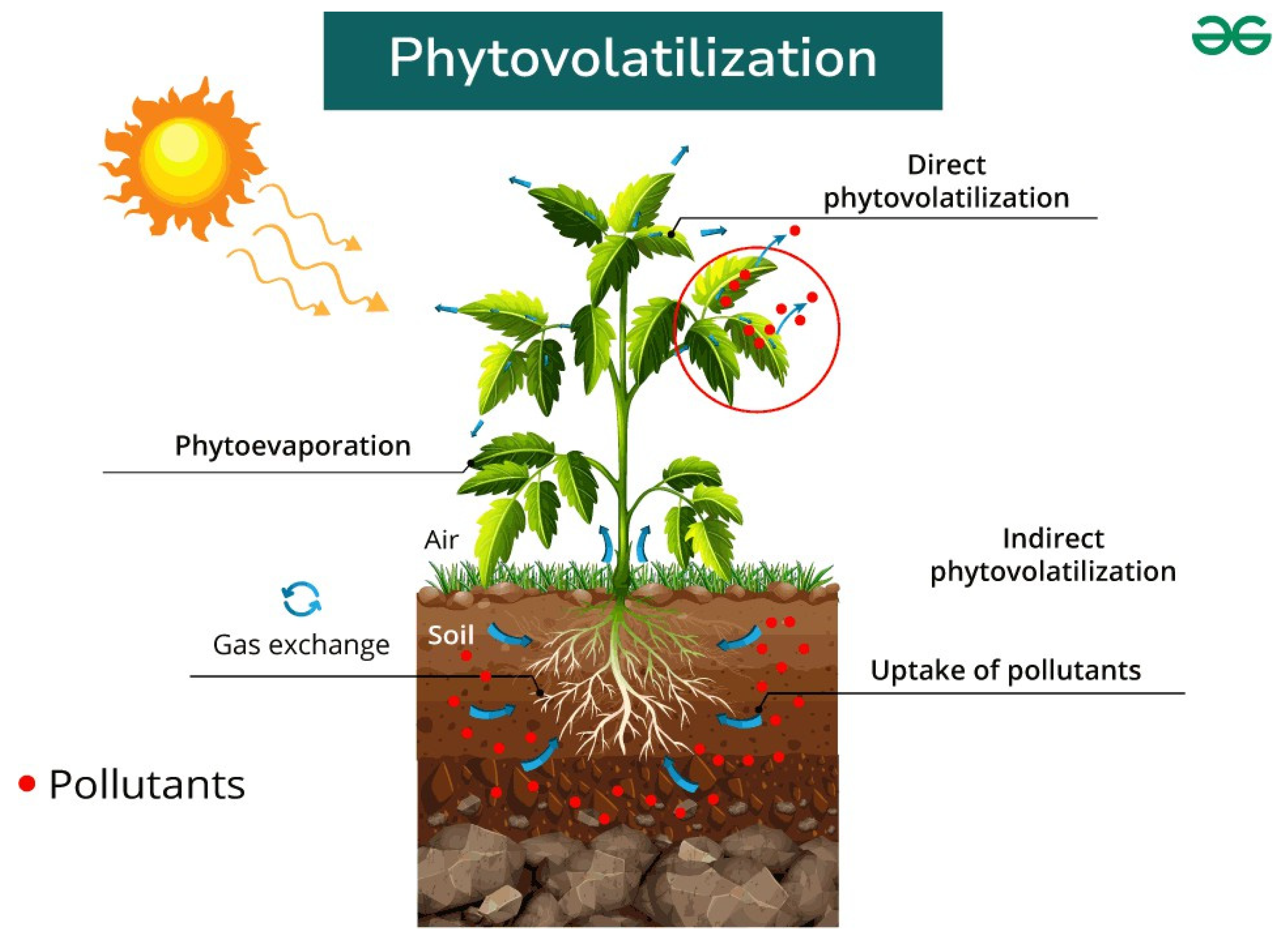 Preprints 164814 g005