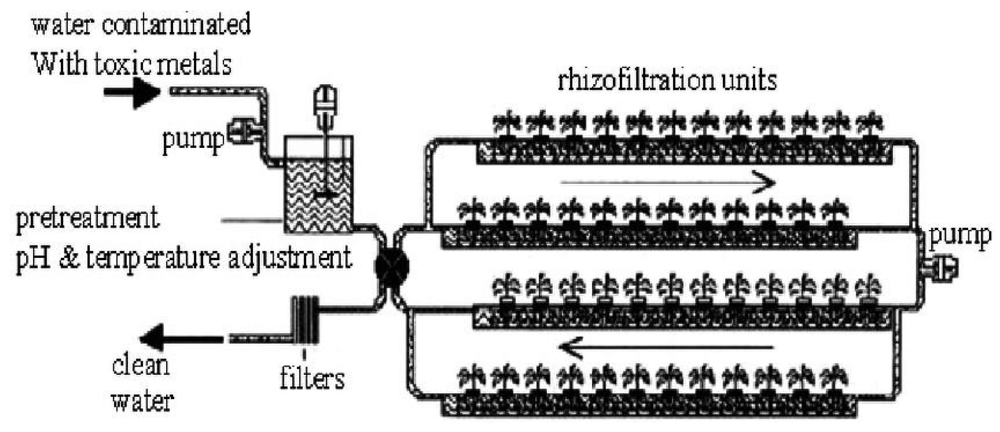 Preprints 164814 g006