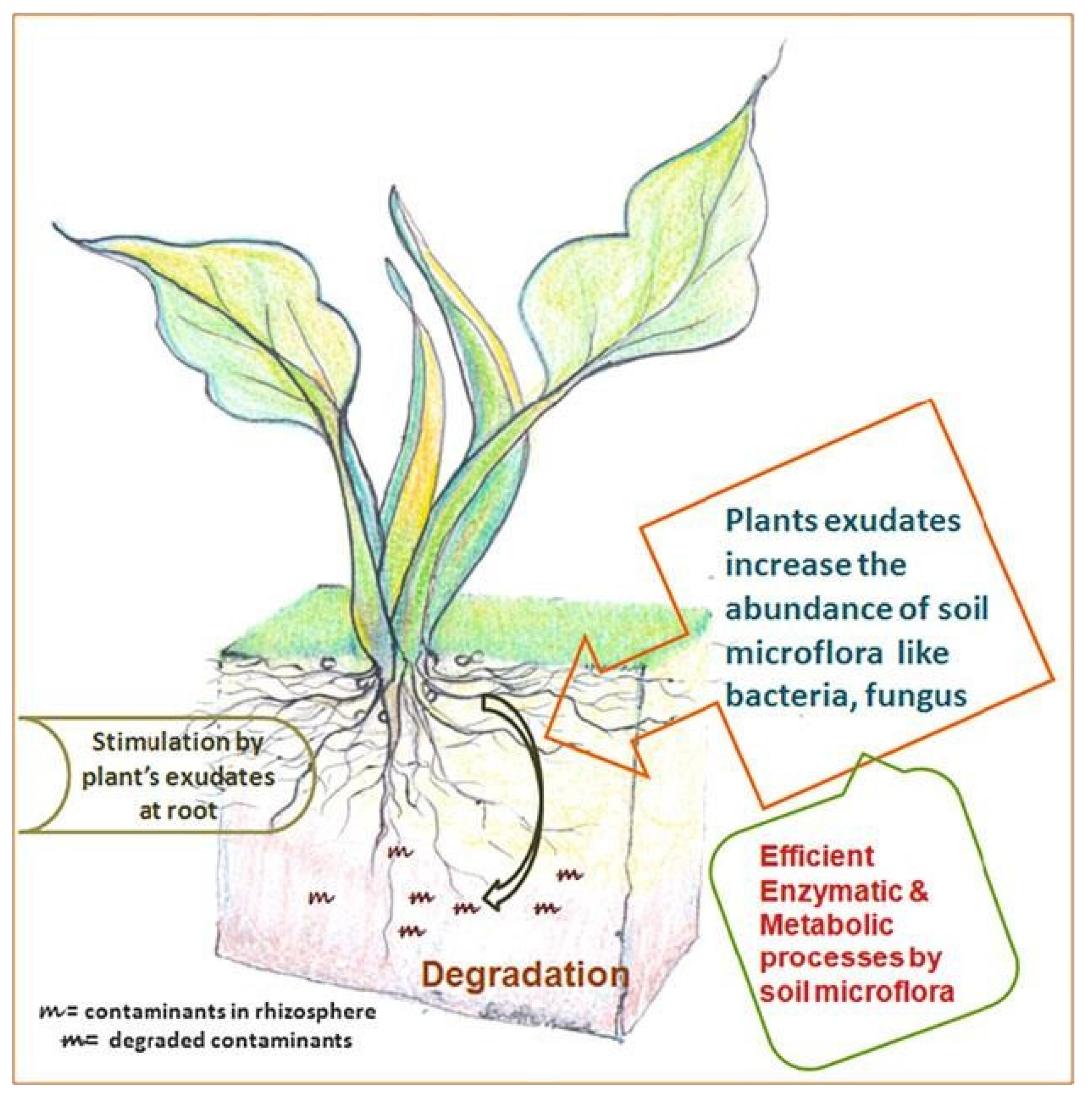 Preprints 164814 g007