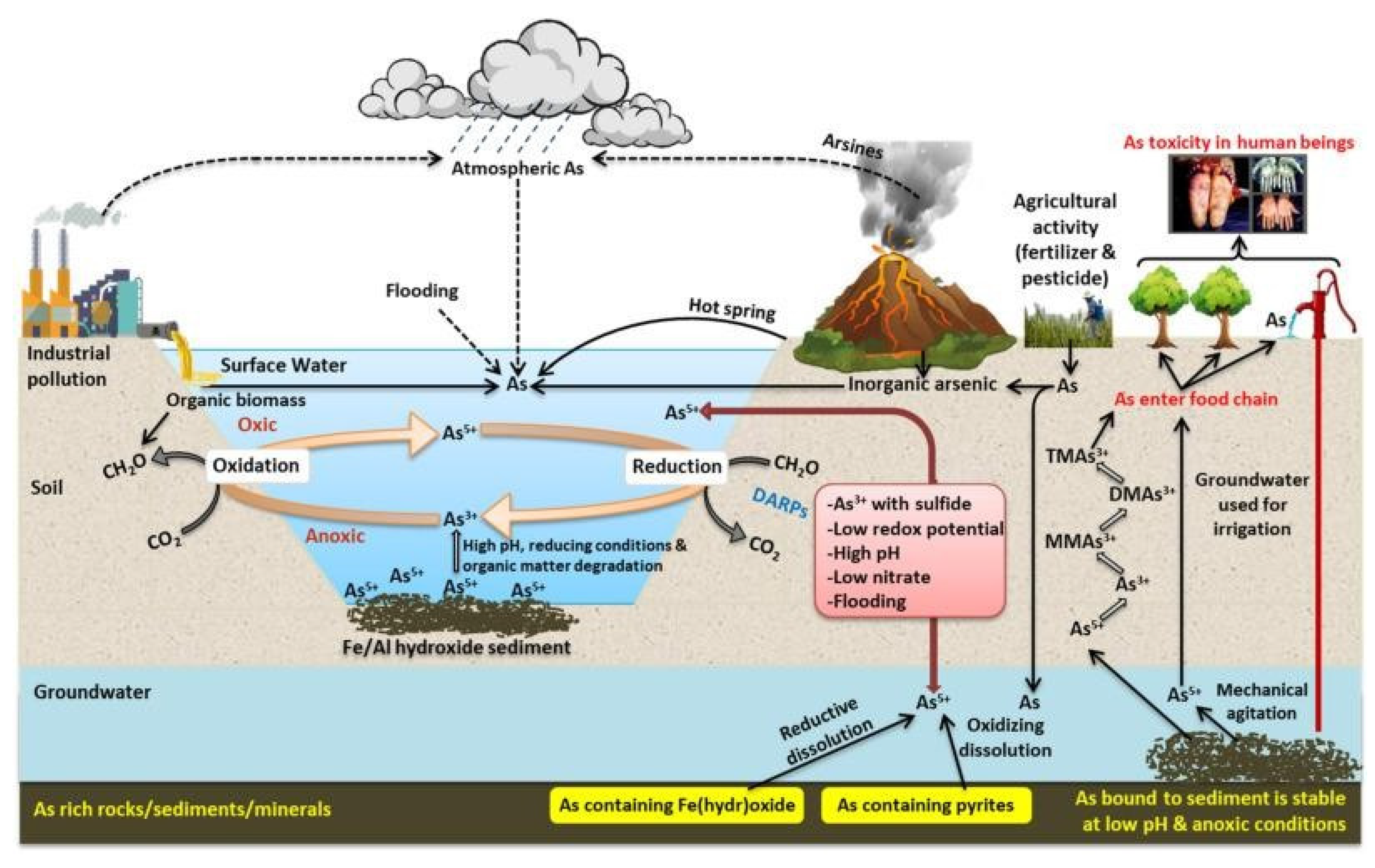 Preprints 164814 g011