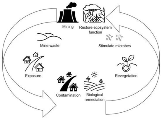 Preprints 164814 i001