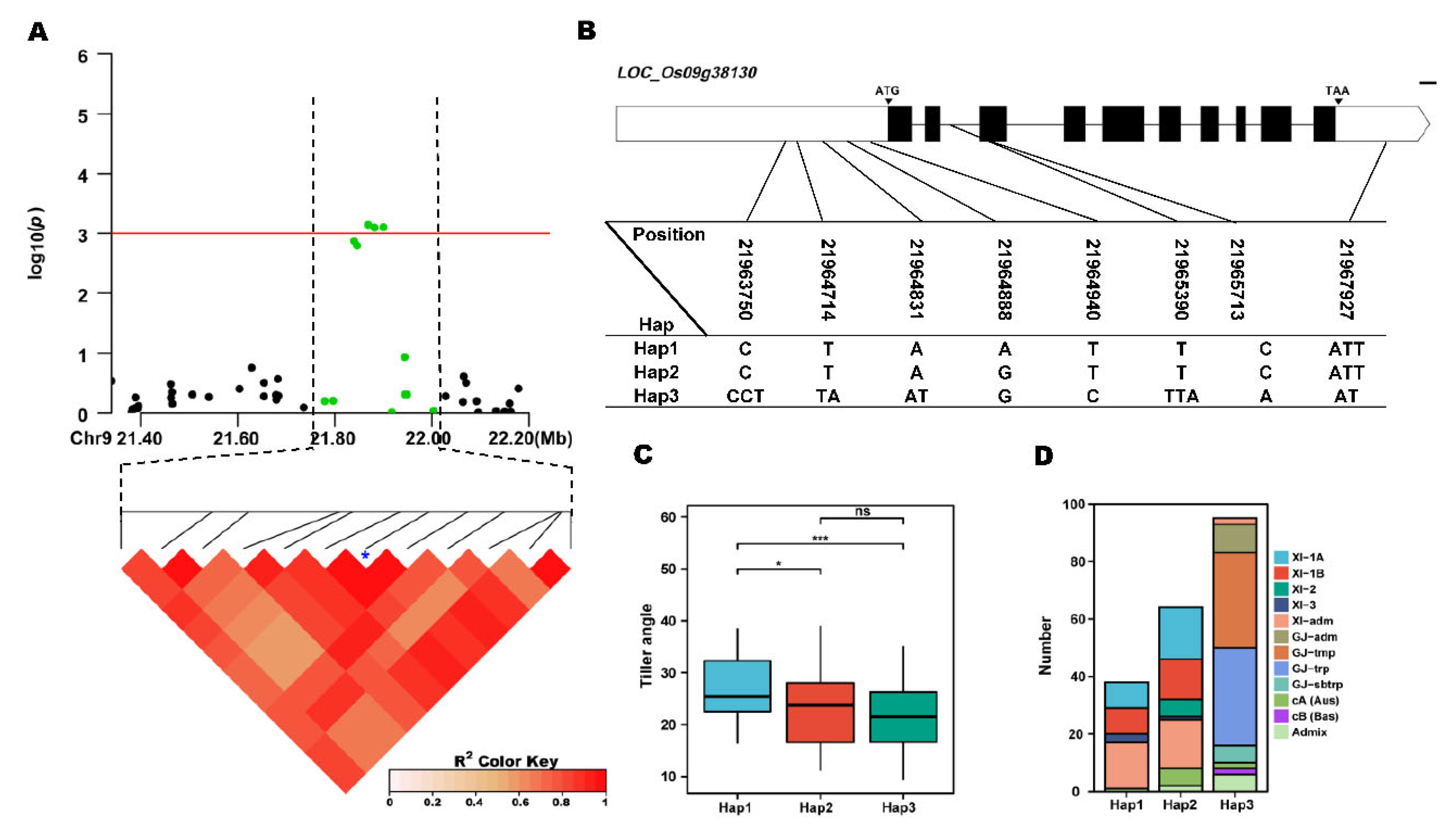 Preprints 73423 g006
