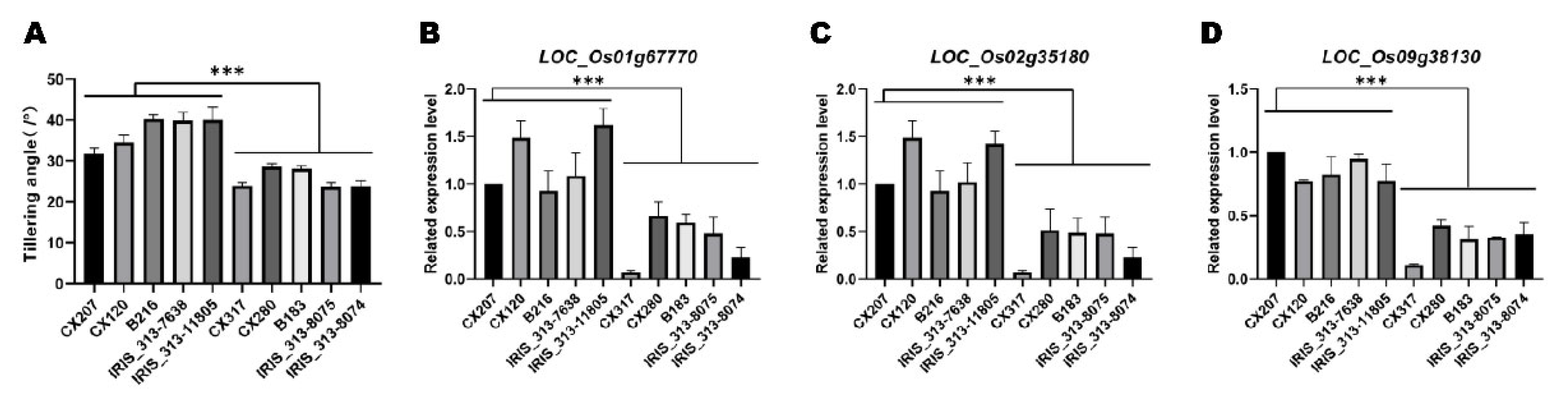 Preprints 73423 g007