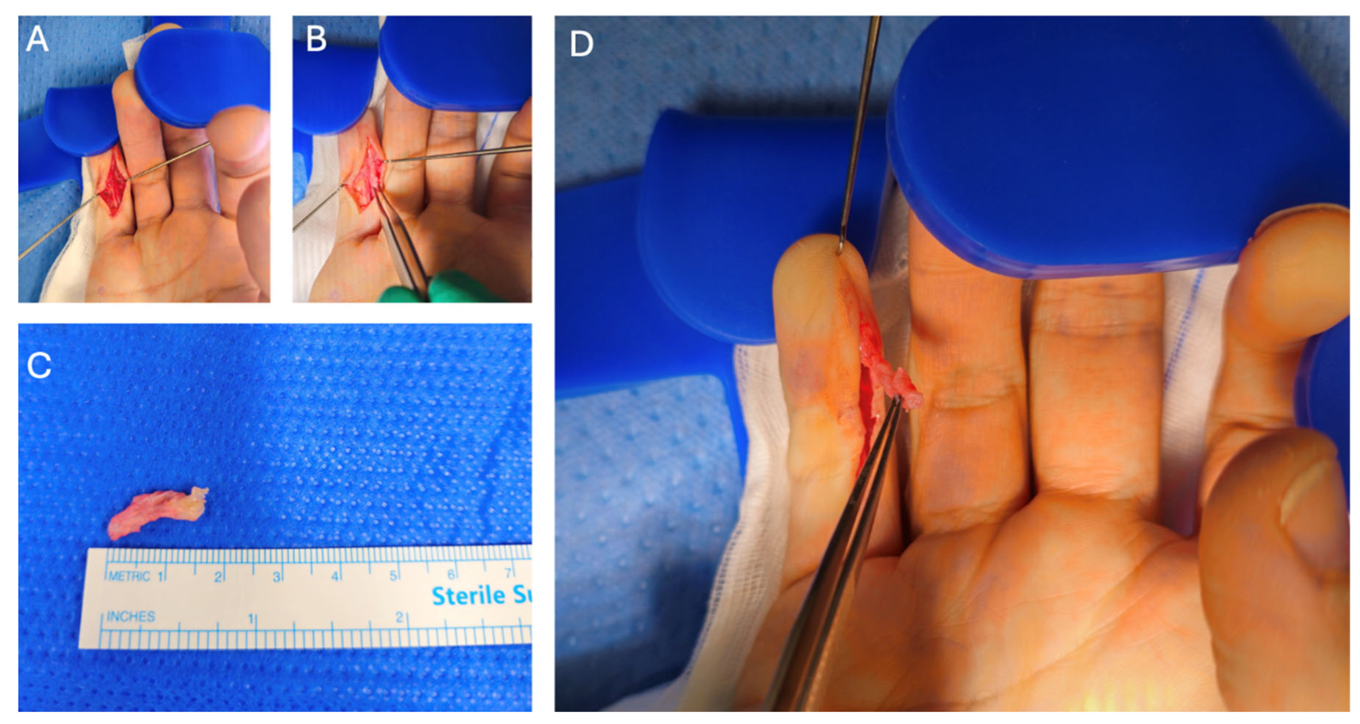 Preprints 200603 g004