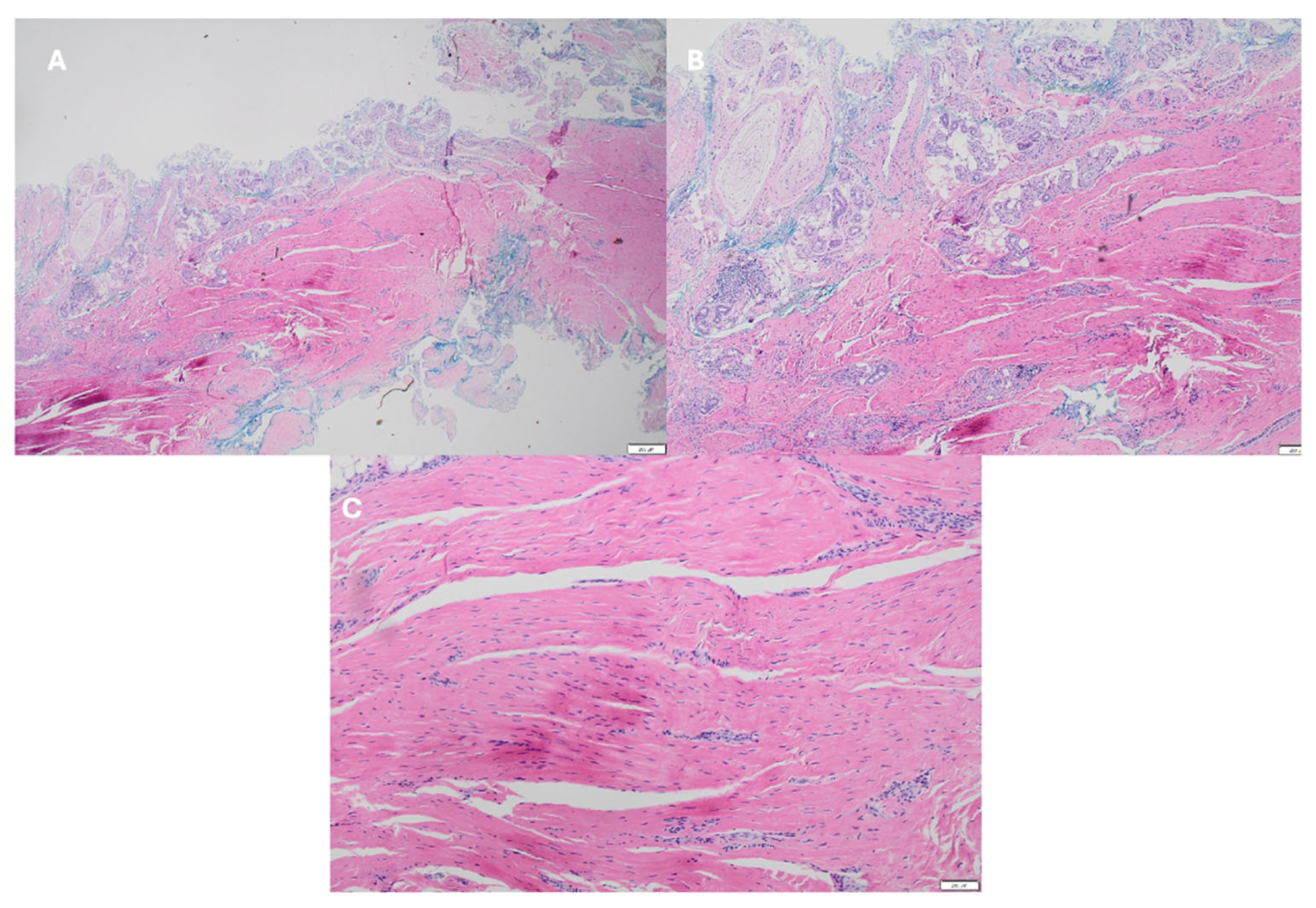 Preprints 200603 g005