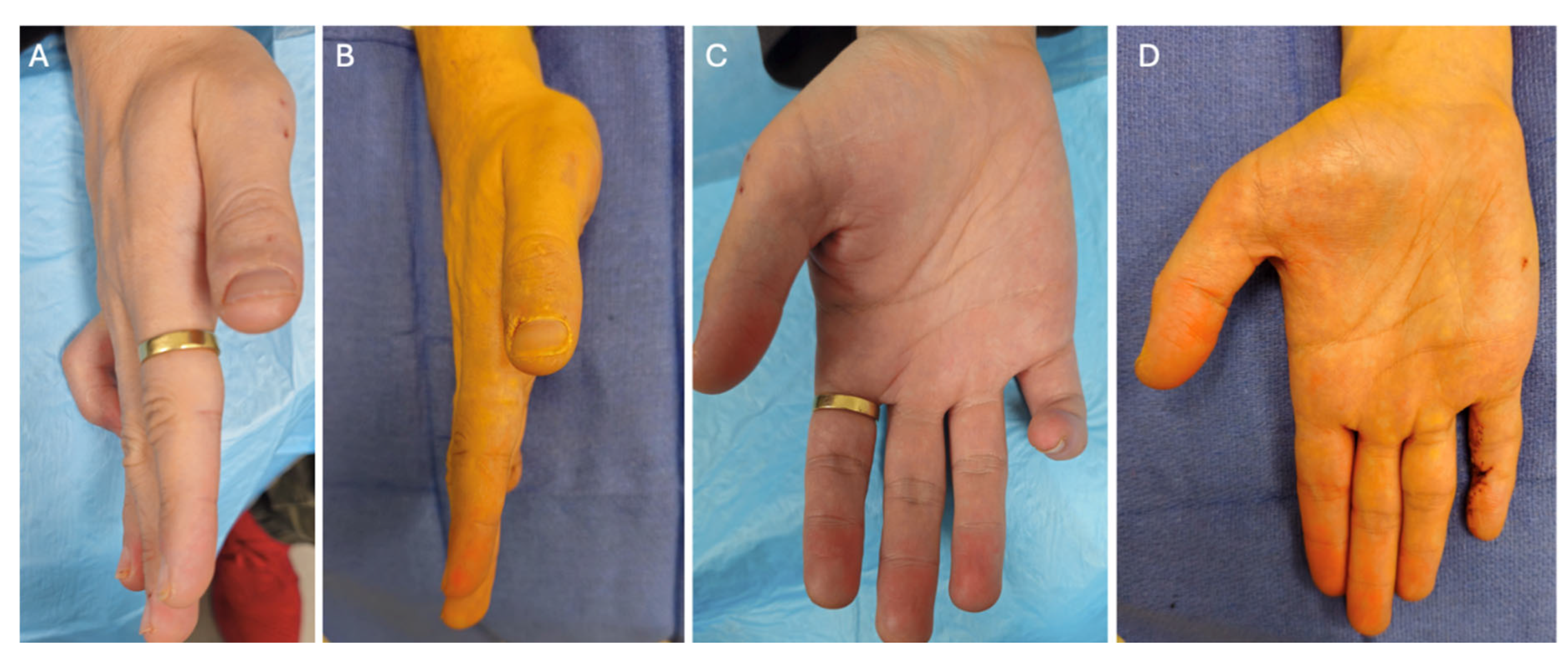 Preprints 200603 g006