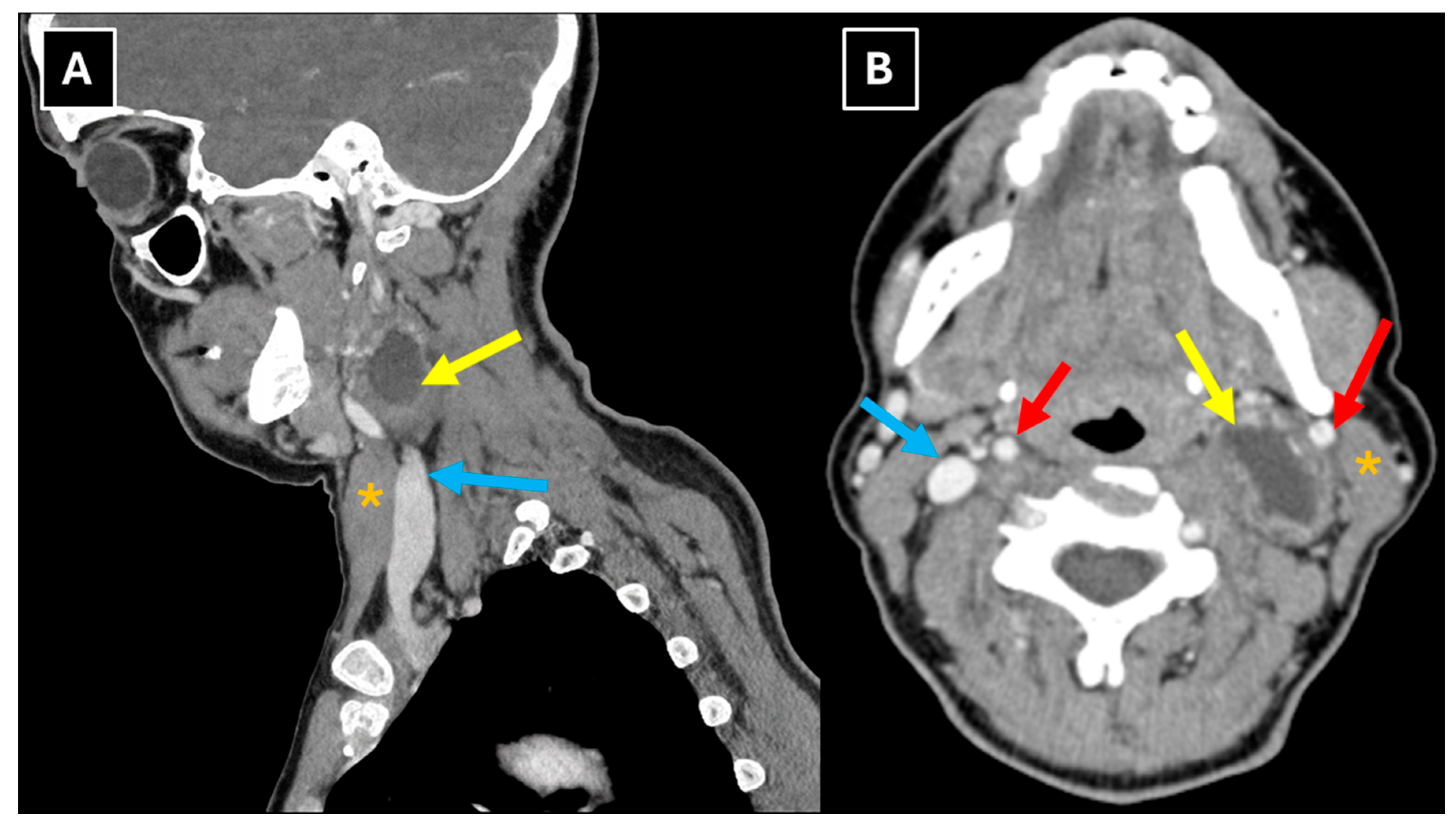 Preprints 198849 g001