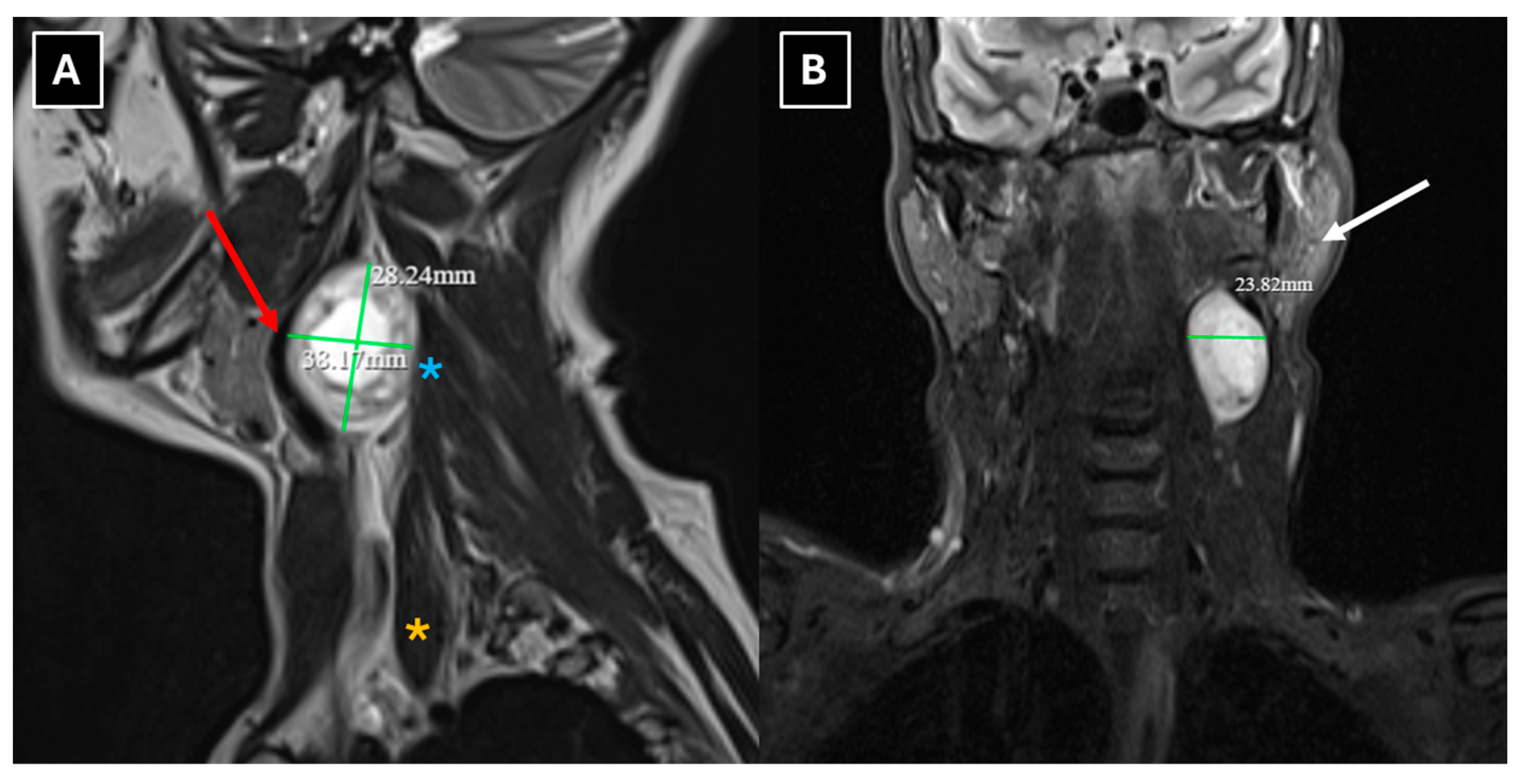 Preprints 198849 g002