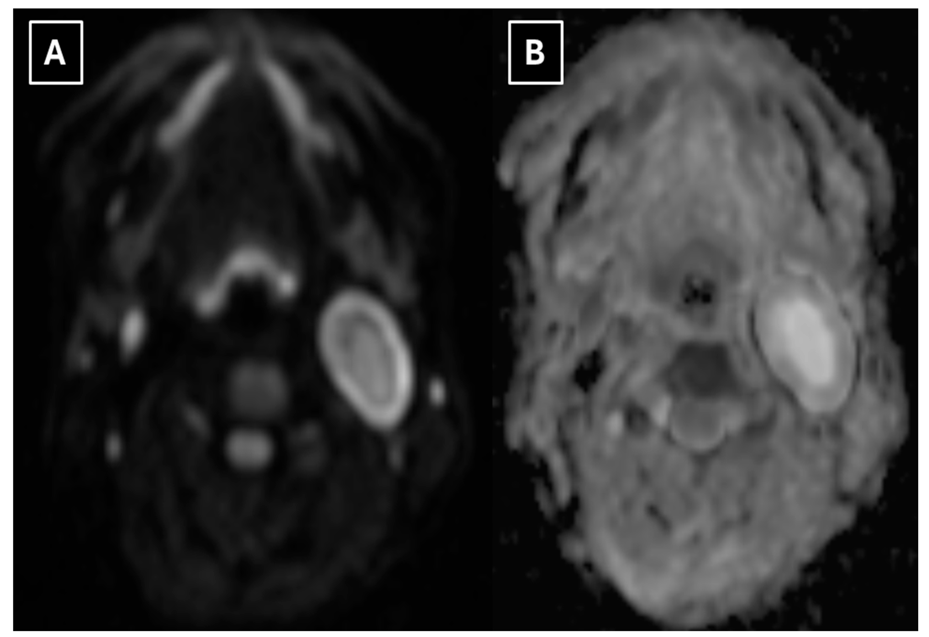 Preprints 198849 g003
