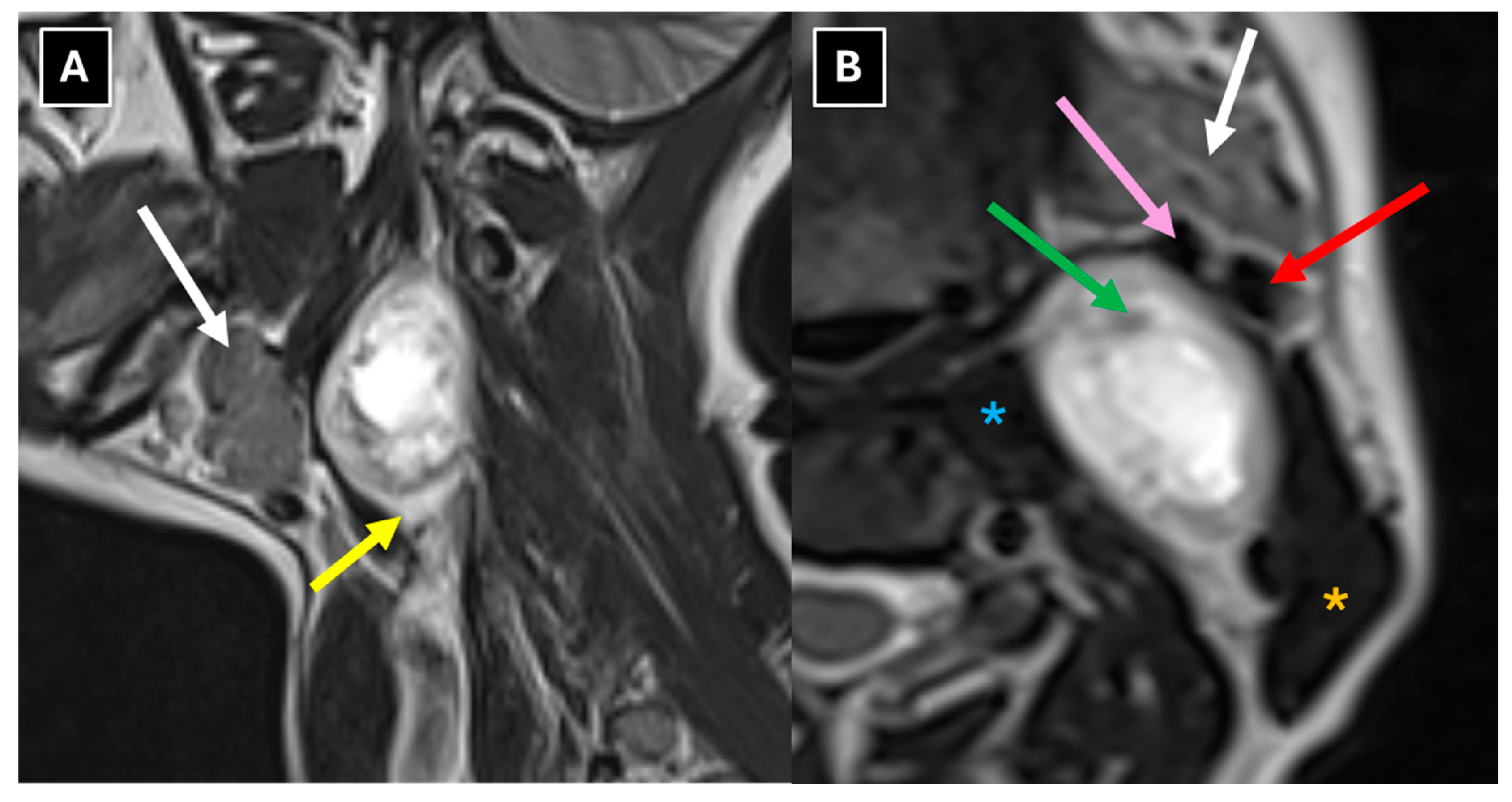 Preprints 198849 g004