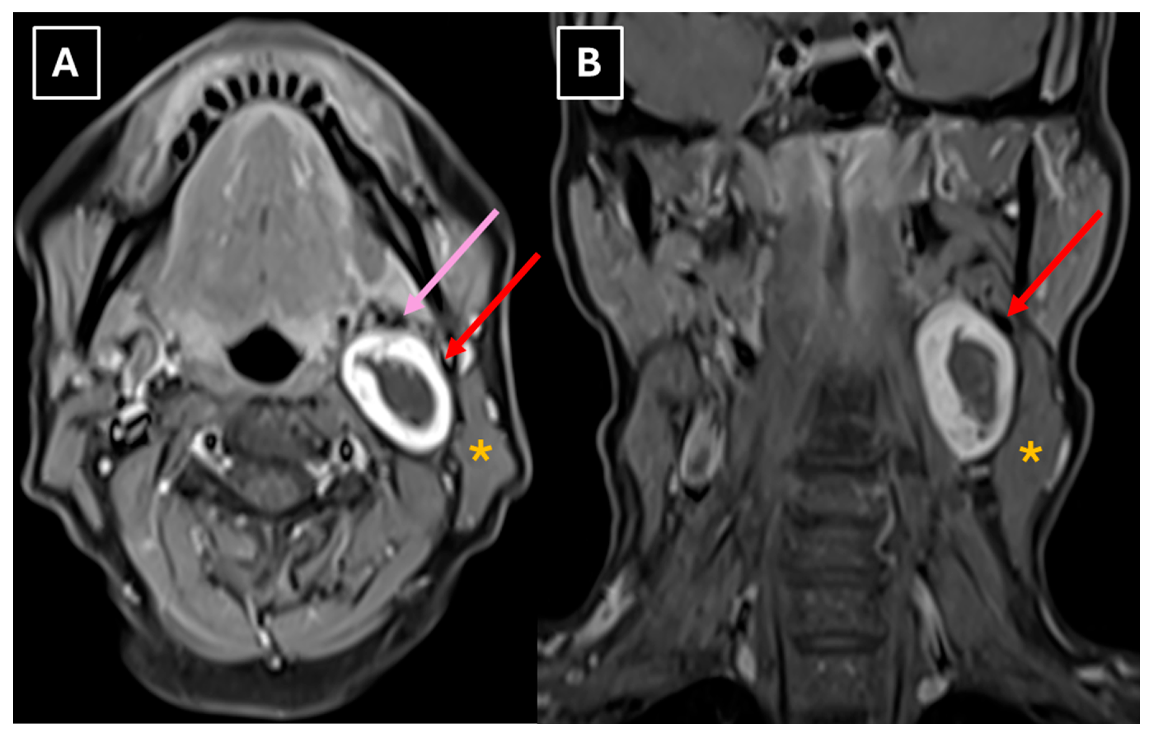 Preprints 198849 g005