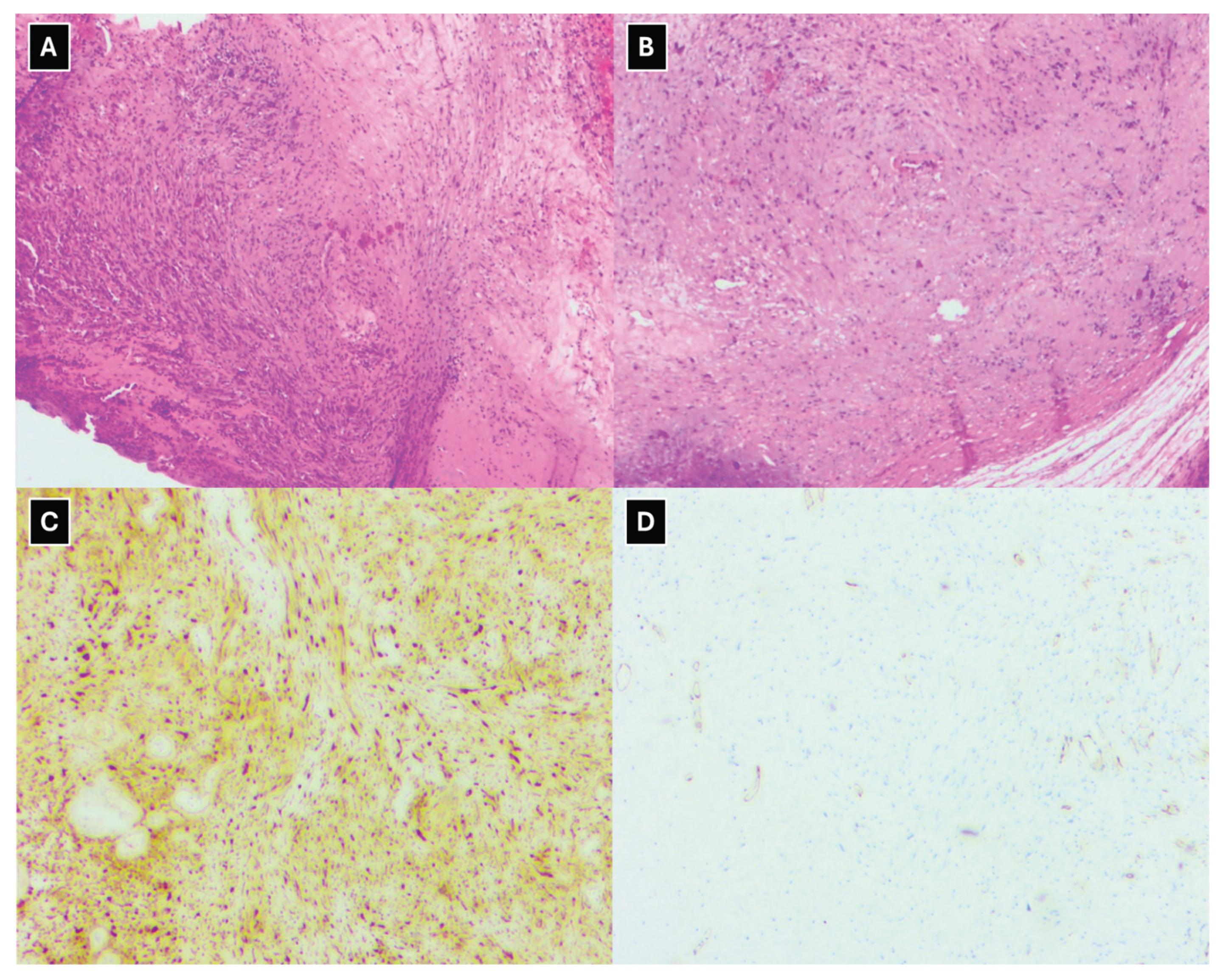 Preprints 198849 g006