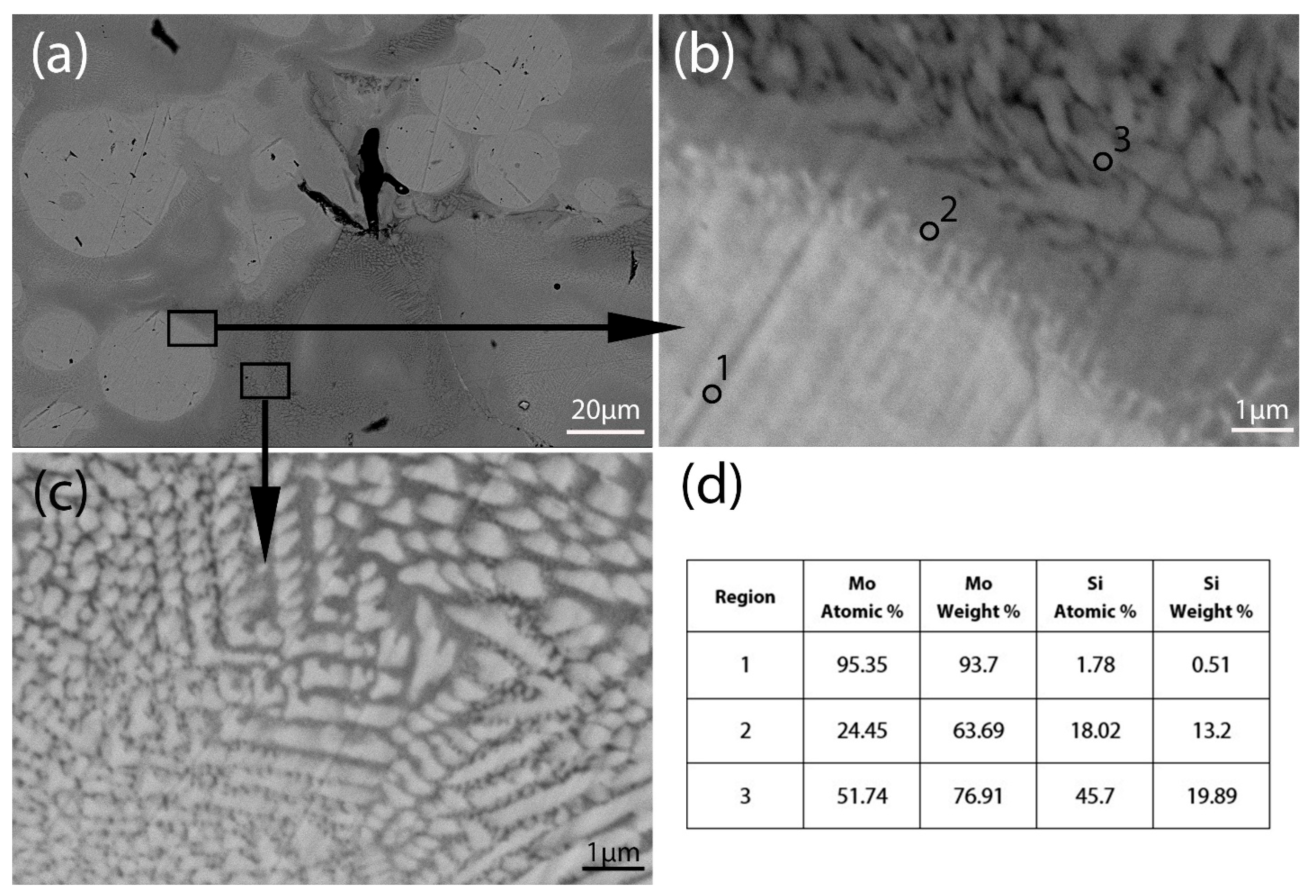 Preprints 151655 g003