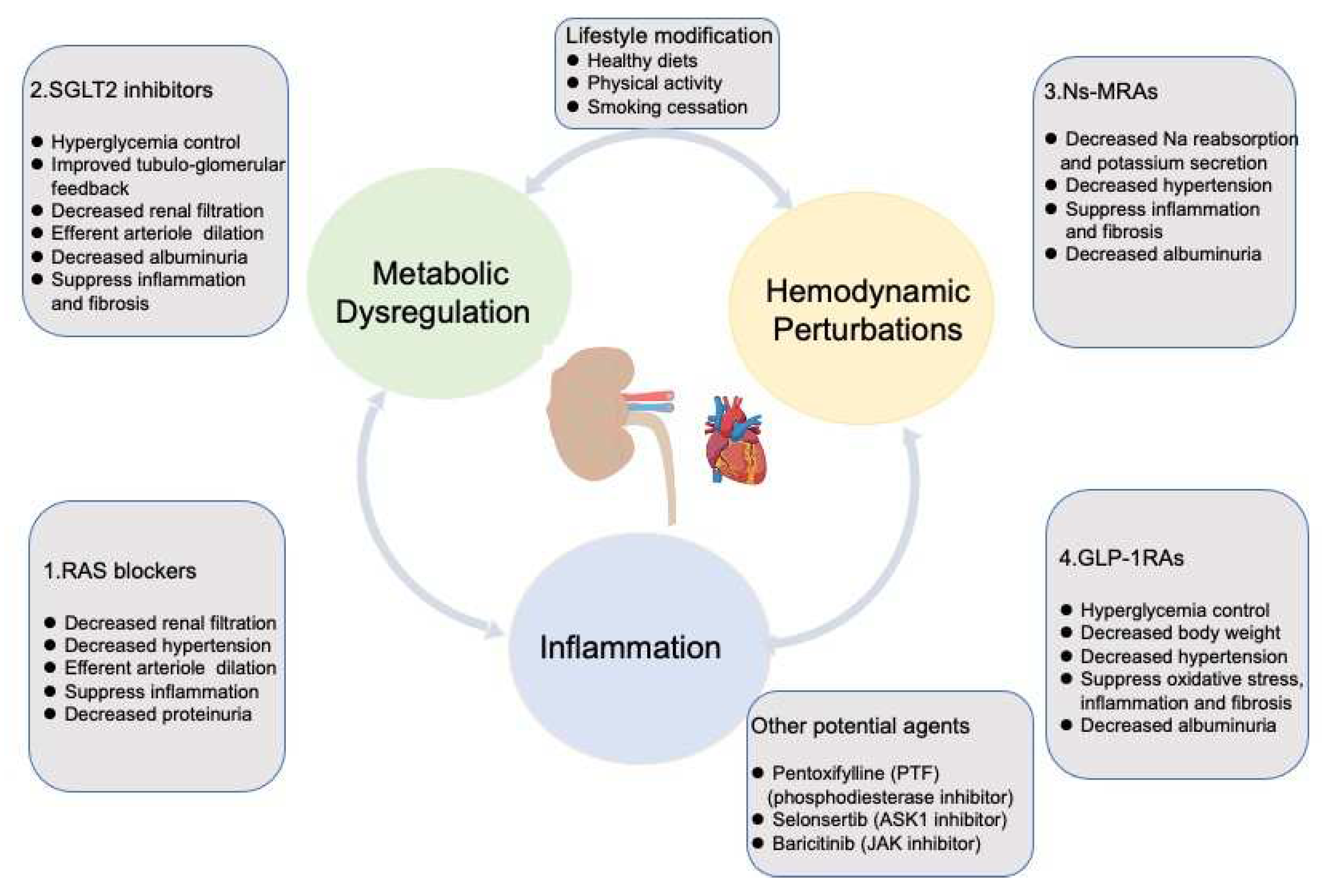 Preprints 95438 g003