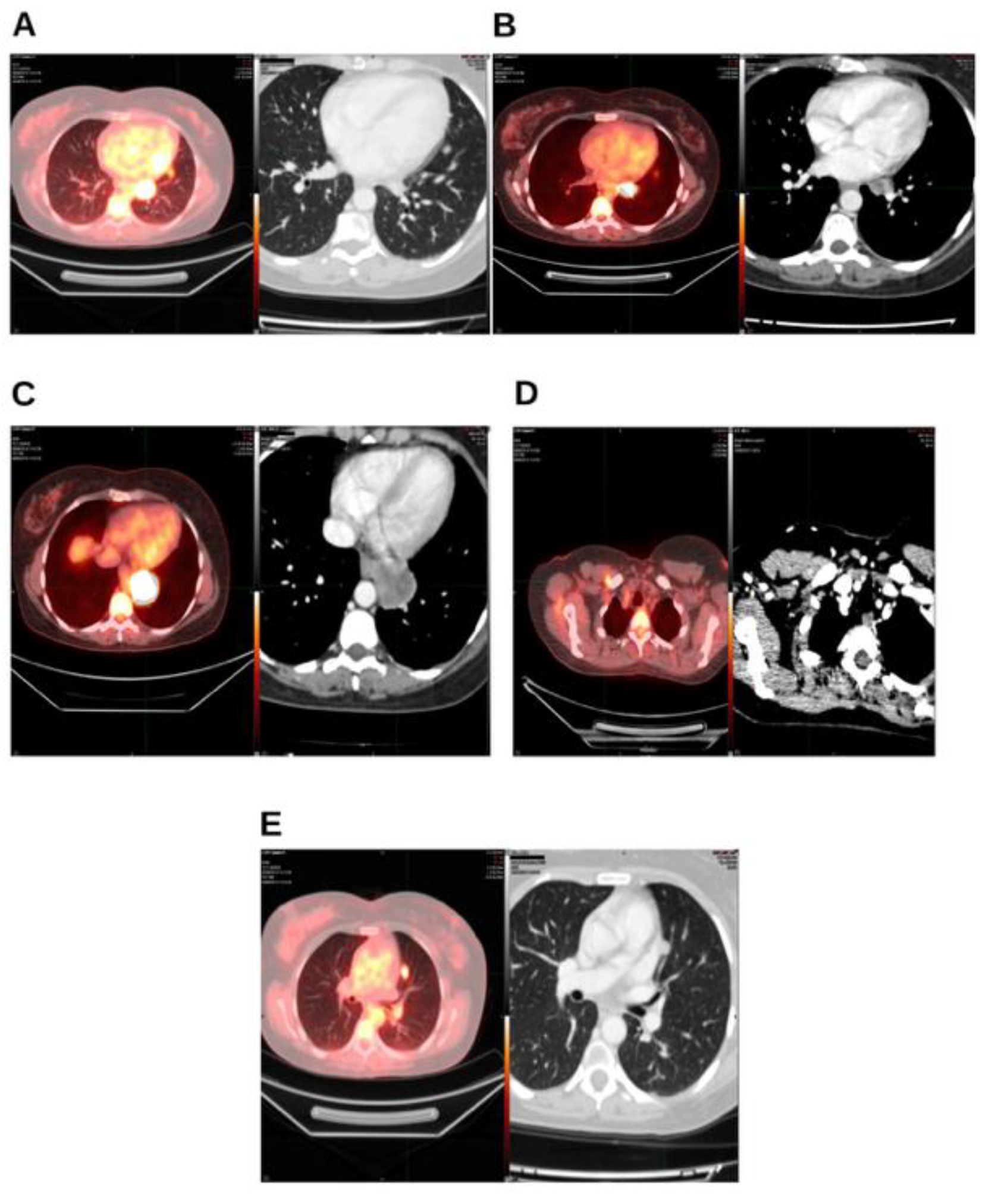 Preprints 184656 g001