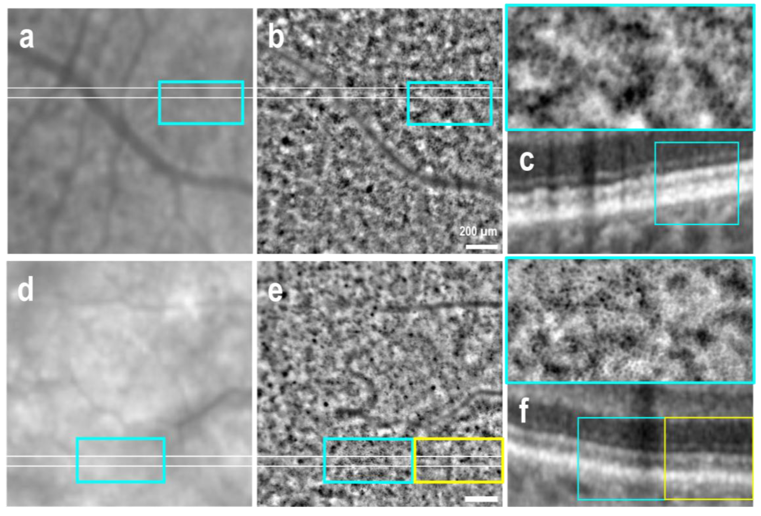 Preprints 154841 g001