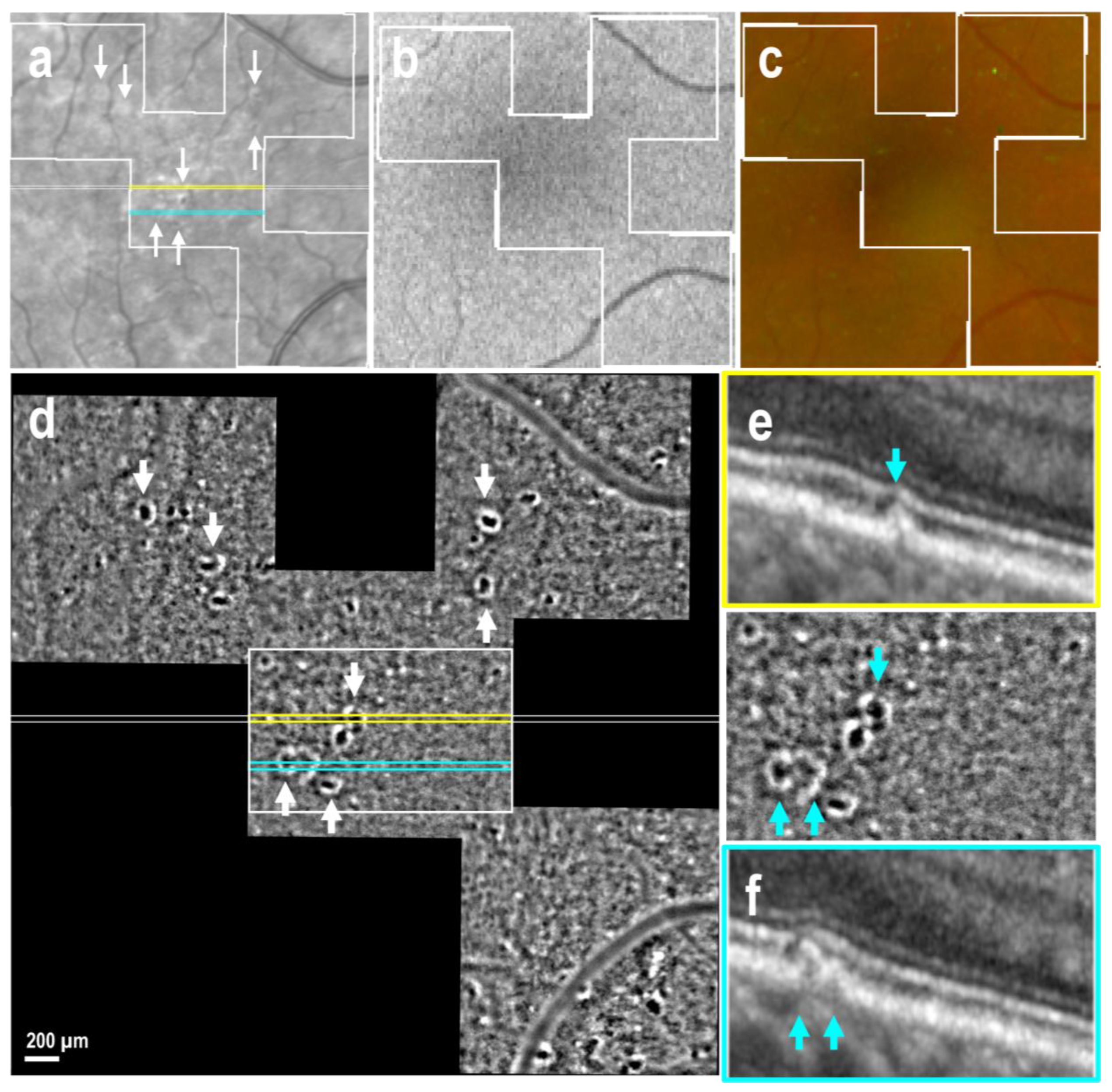 Preprints 154841 g002