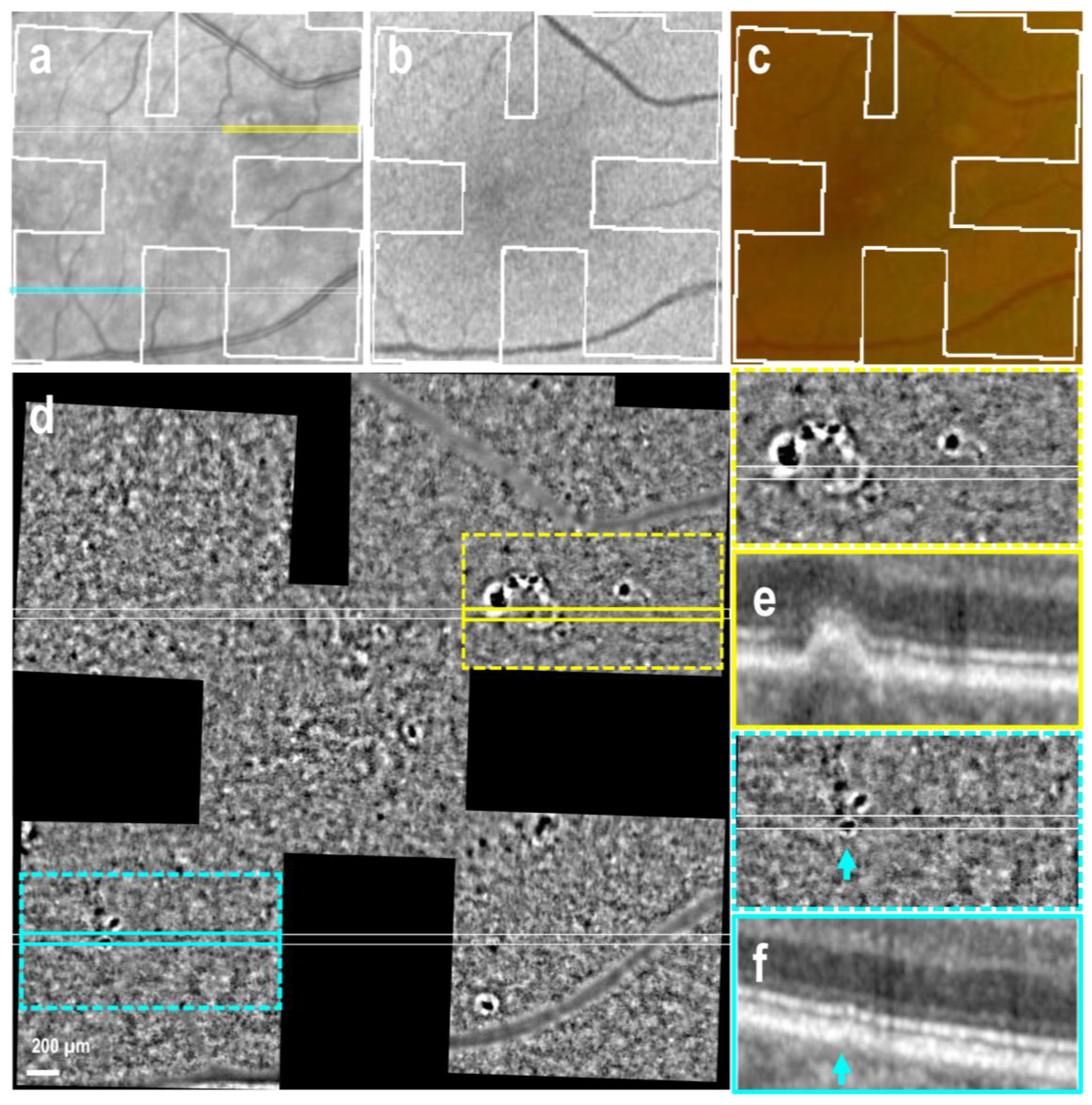 Preprints 154841 g003