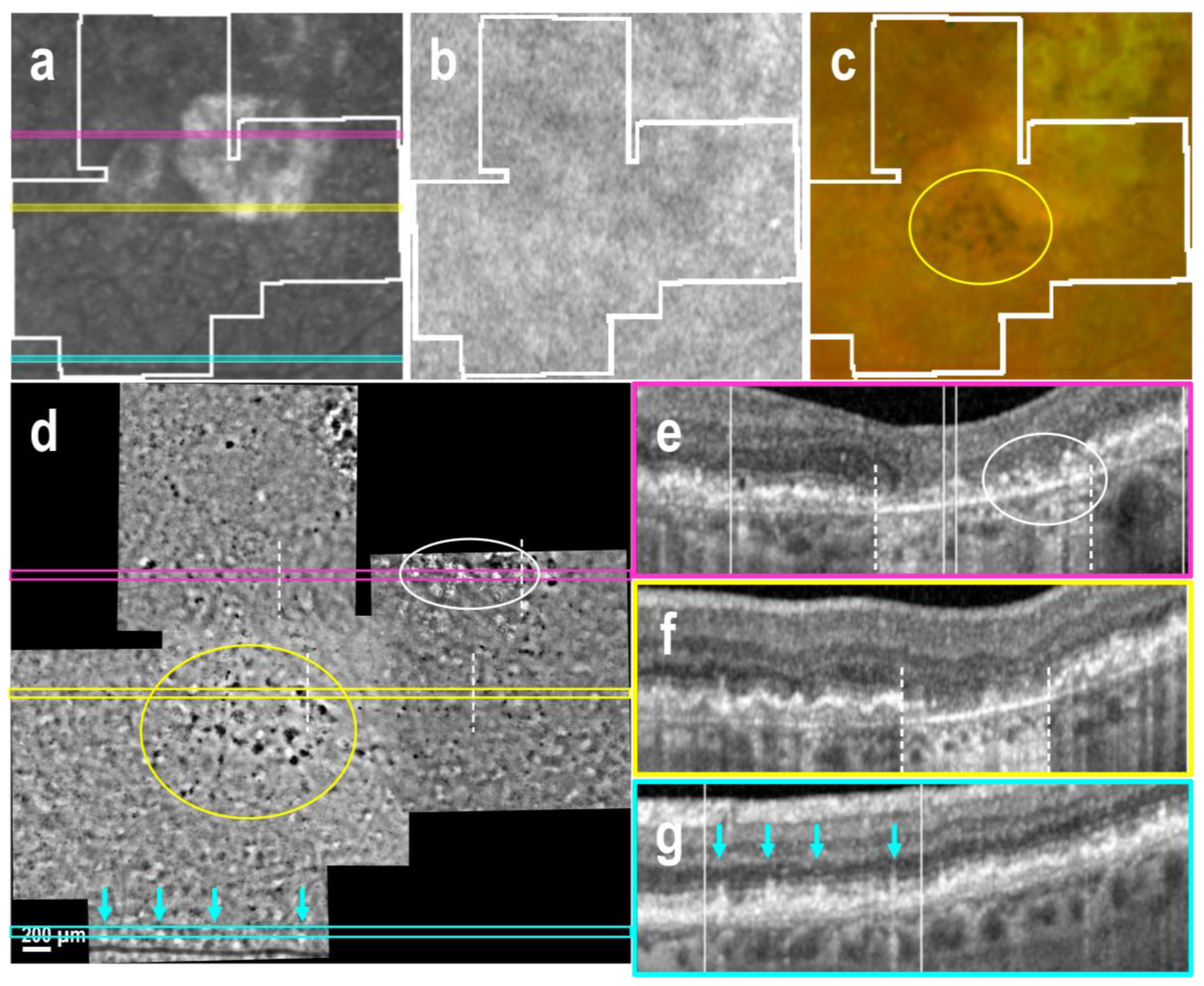 Preprints 154841 g004